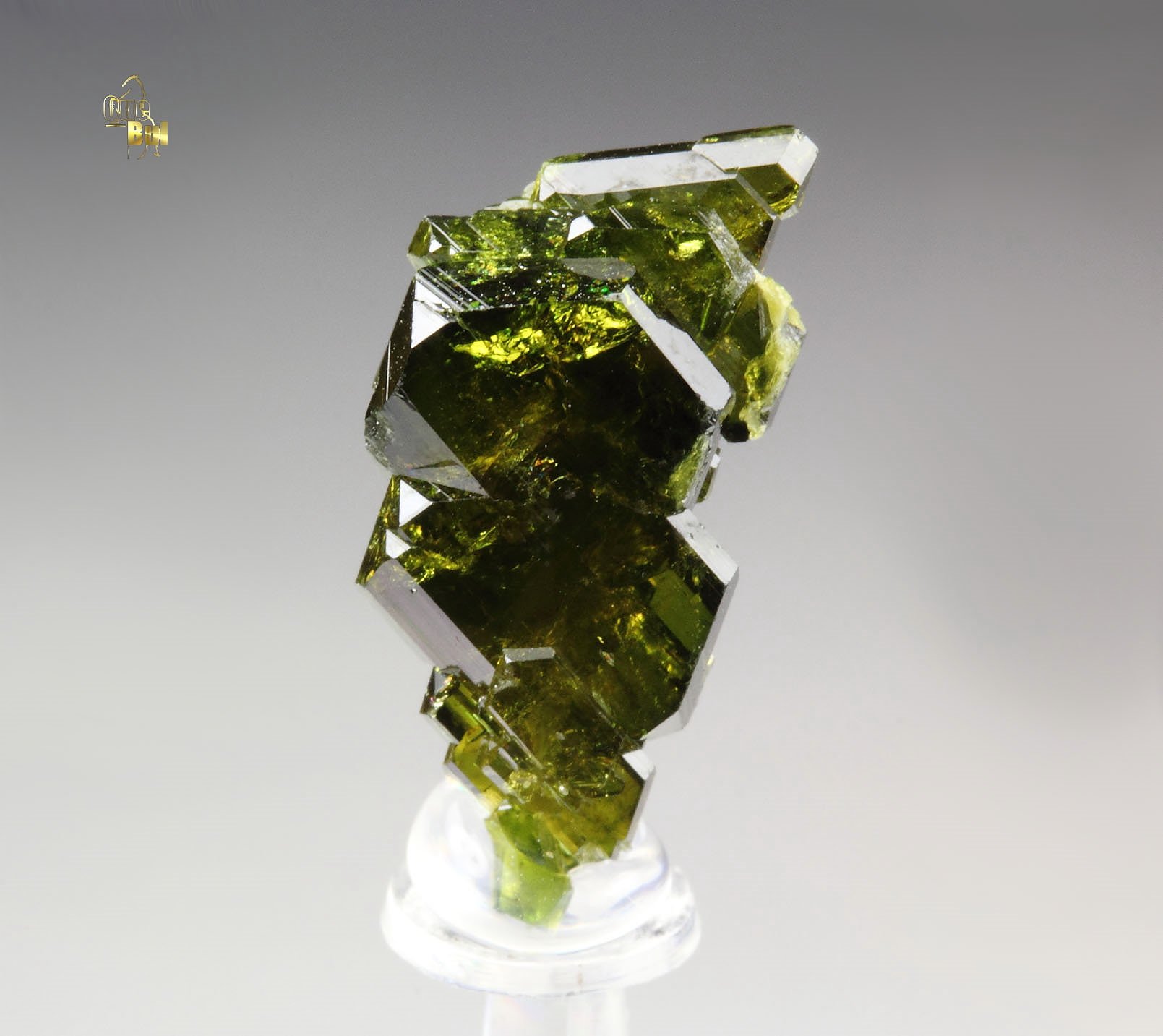 gemmy EPIDOTE