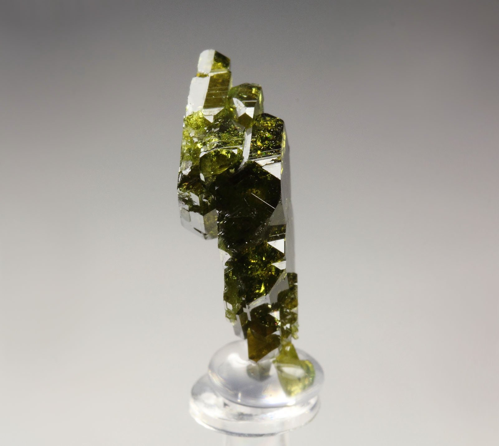 gemmy EPIDOTE