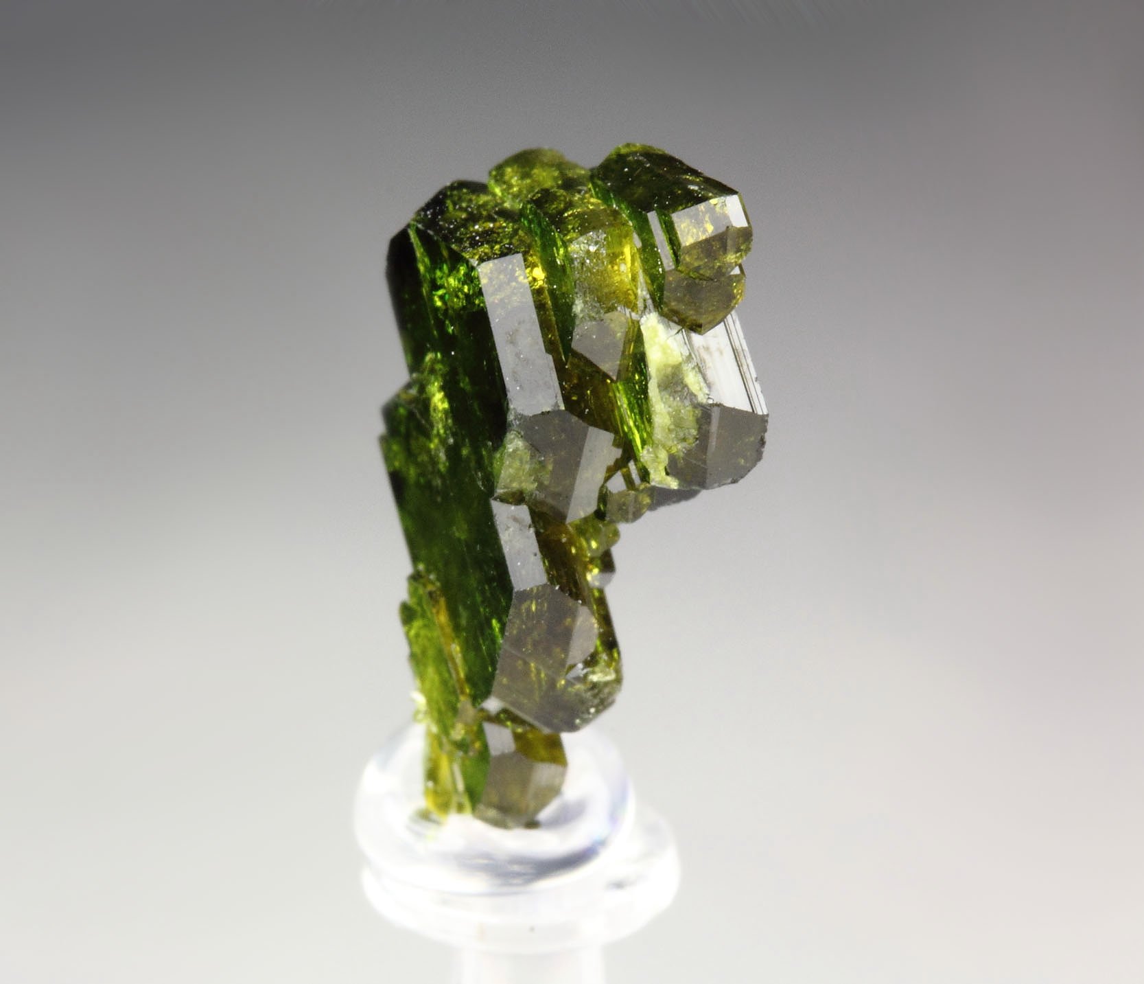 gemmy EPIDOTE