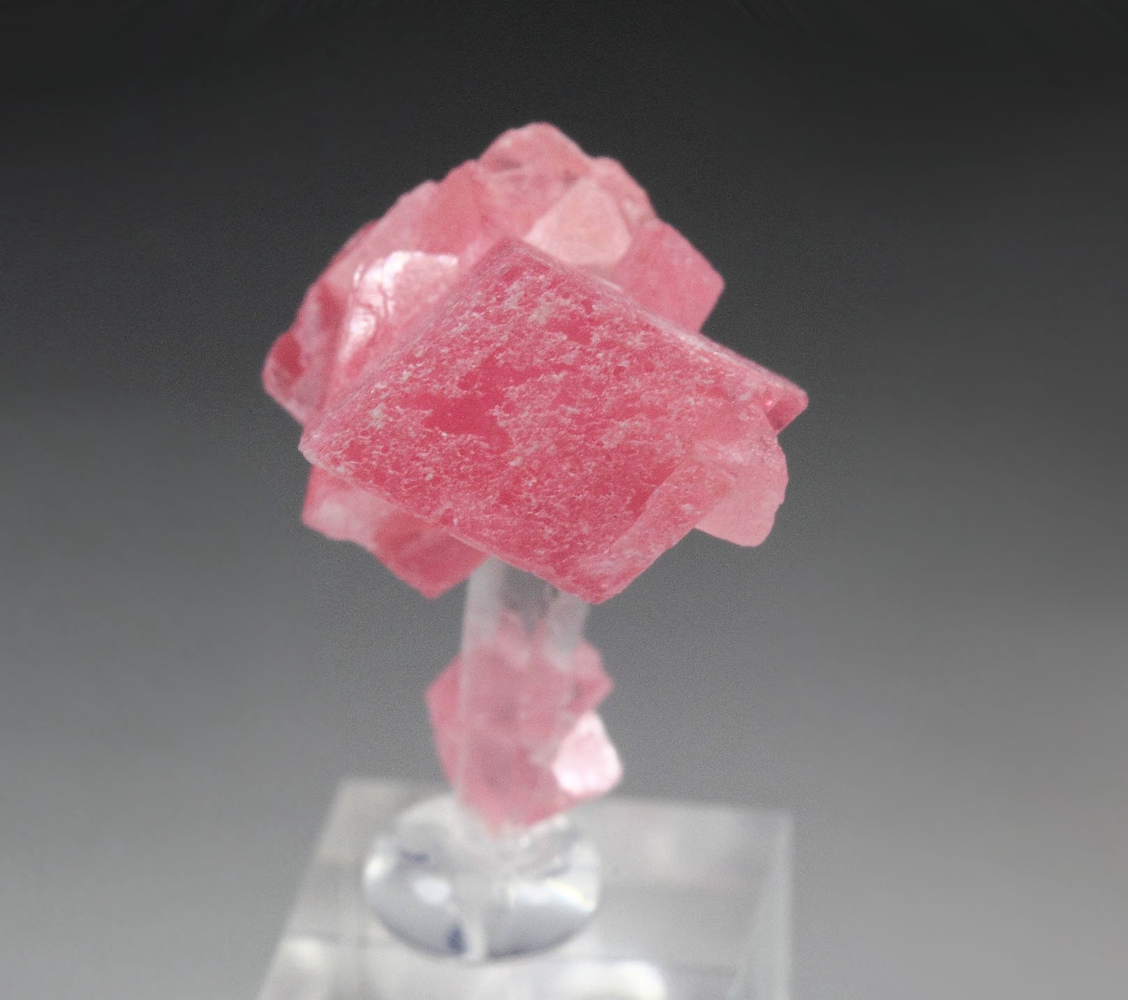 RHODOCHROSITE, QUARTZ