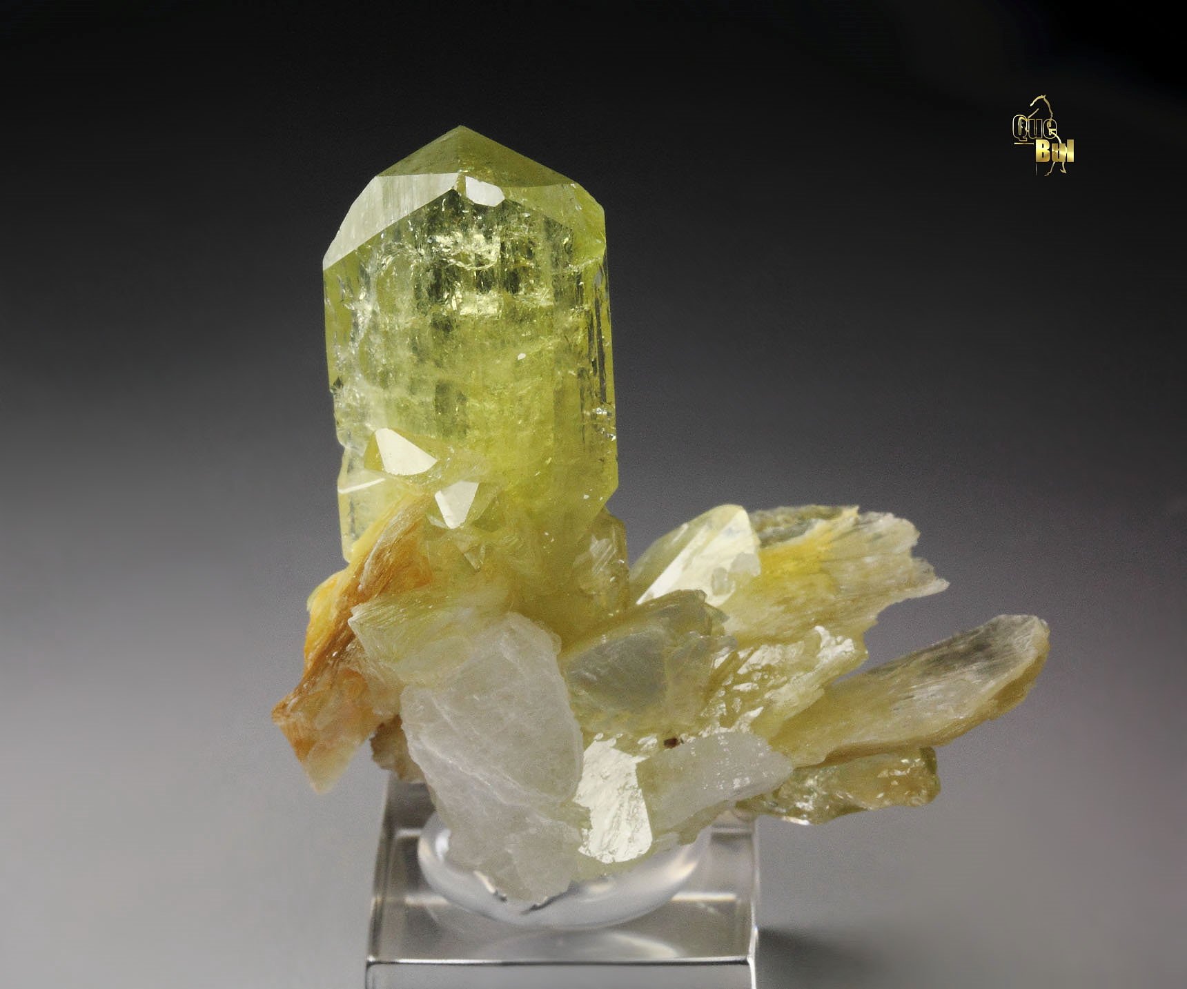 gem BRAZILIANITE, ALBITE, MUSCOVITE