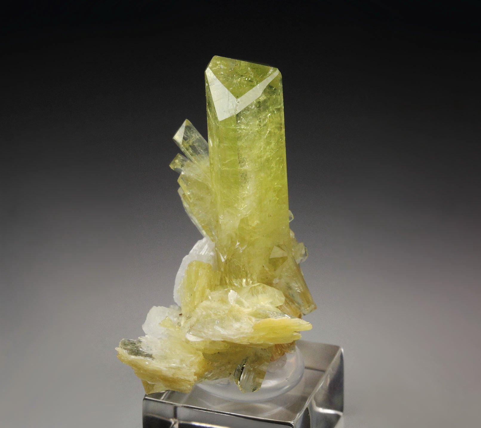 gem BRAZILIANITE, ALBITE, MUSCOVITE