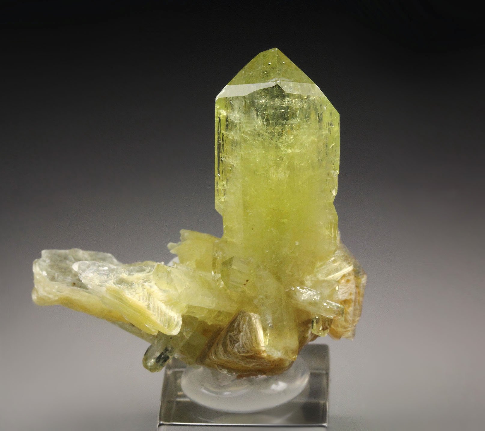 gem BRAZILIANITE, ALBITE, MUSCOVITE