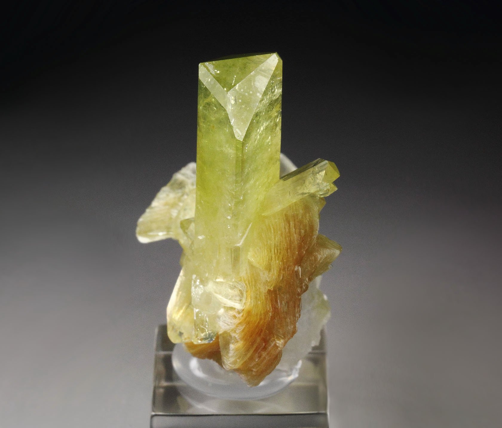 gem BRAZILIANITE, ALBITE, MUSCOVITE