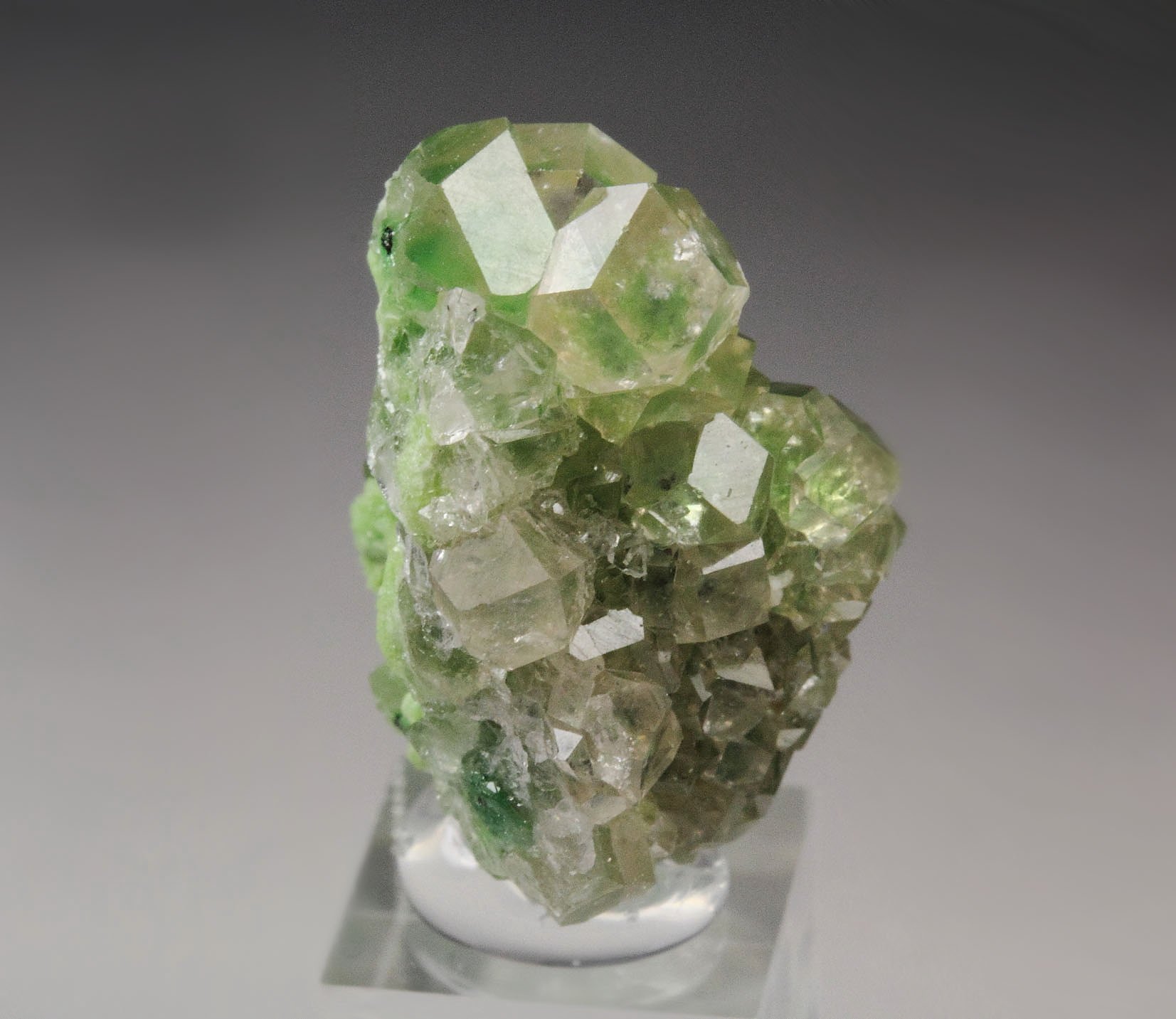 gem GARNET var. GROSSULAR with GREEN CHROMIAN PHANTOMS