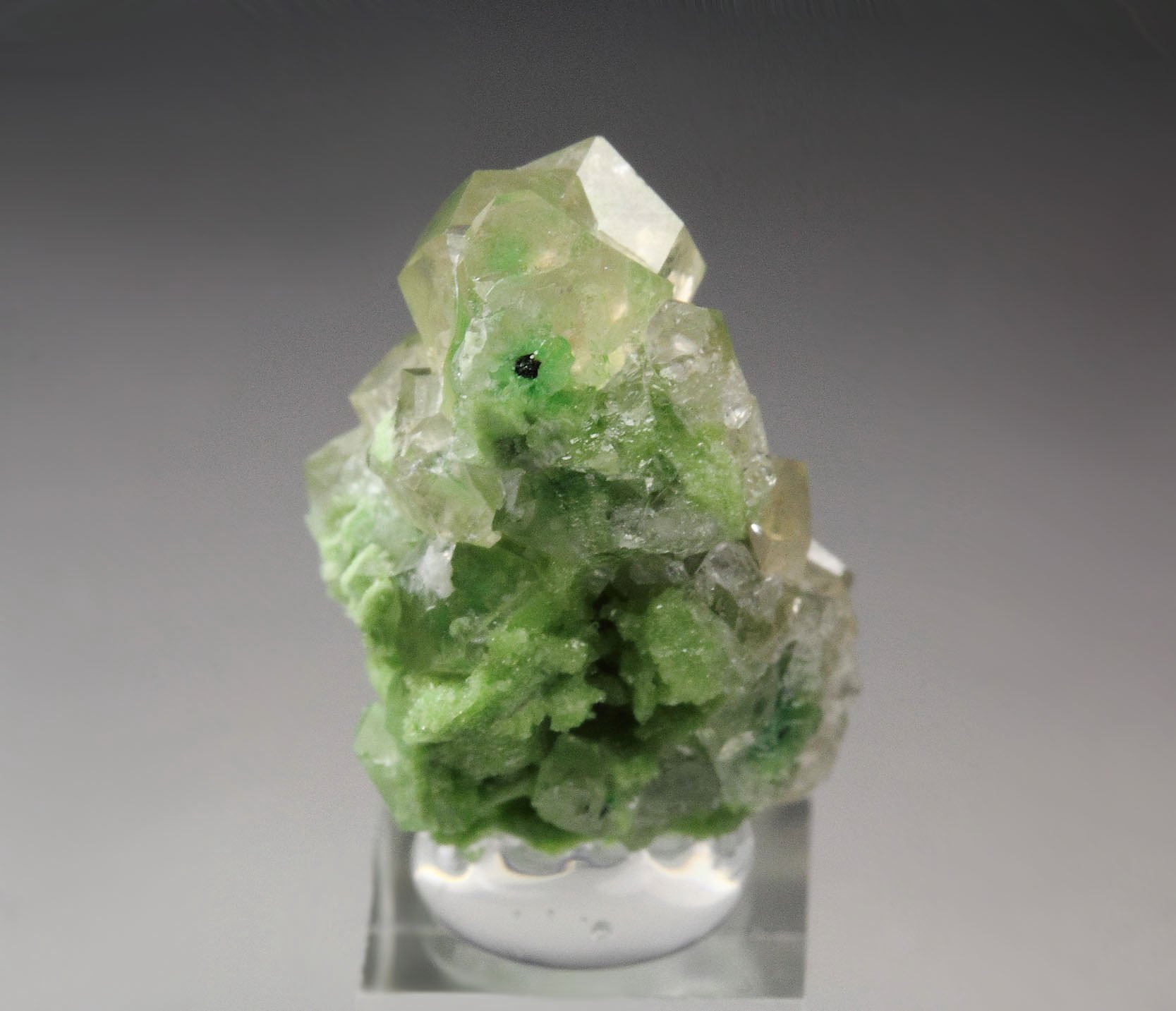 gem GARNET var. GROSSULAR with GREEN CHROMIAN PHANTOMS