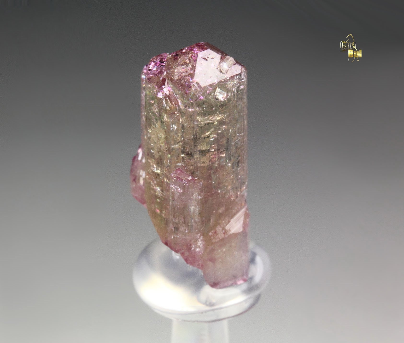 gem VESUVIANITE with RASPBERRY CAP