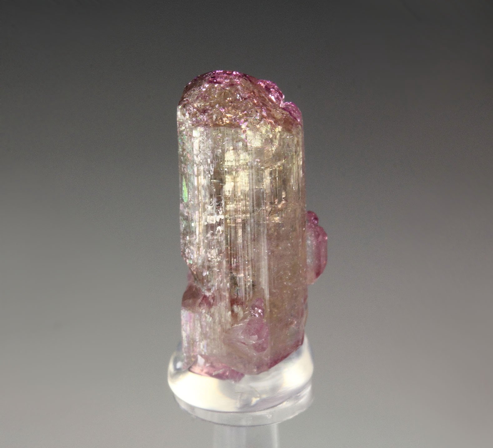 gem VESUVIANITE with RASPBERRY CAP