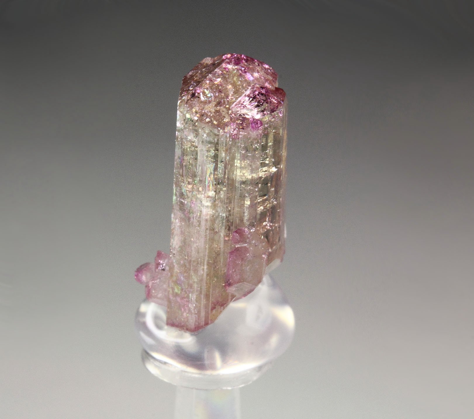 gem VESUVIANITE with RASPBERRY CAP