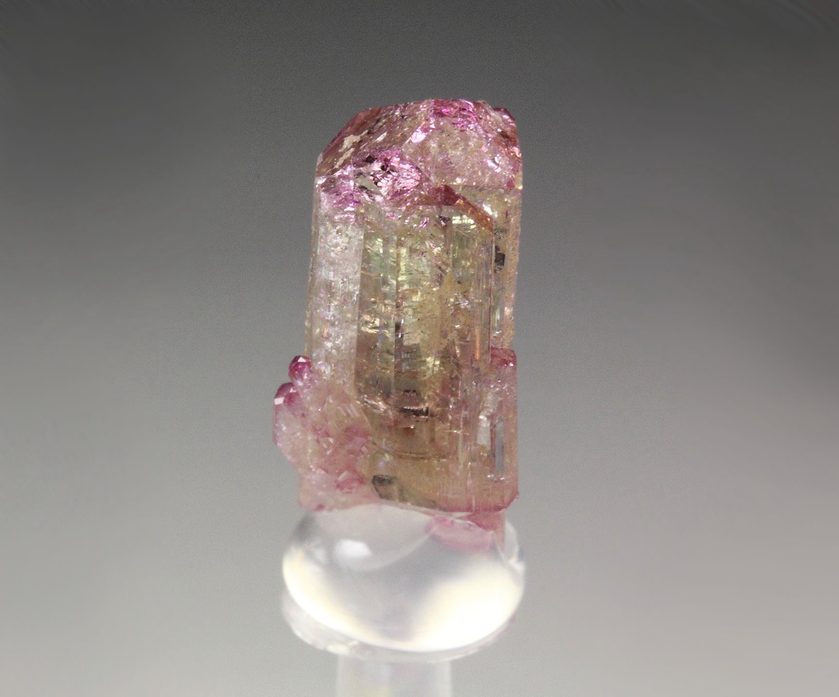 gem VESUVIANITE with RASPBERRY CAP