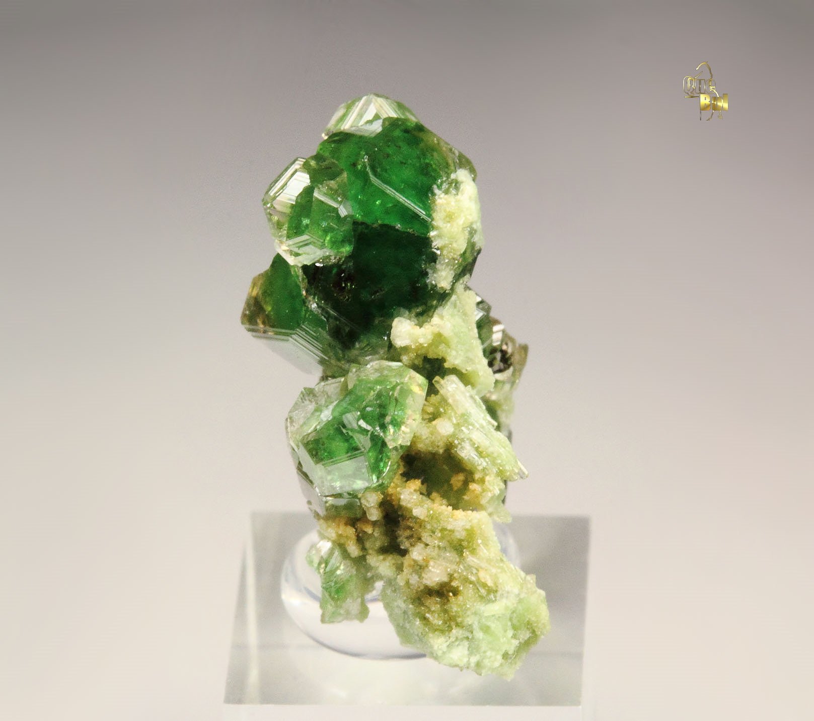 gem GARNET var. GROSSULAR var. CHROMIAN, DIOPSIDE