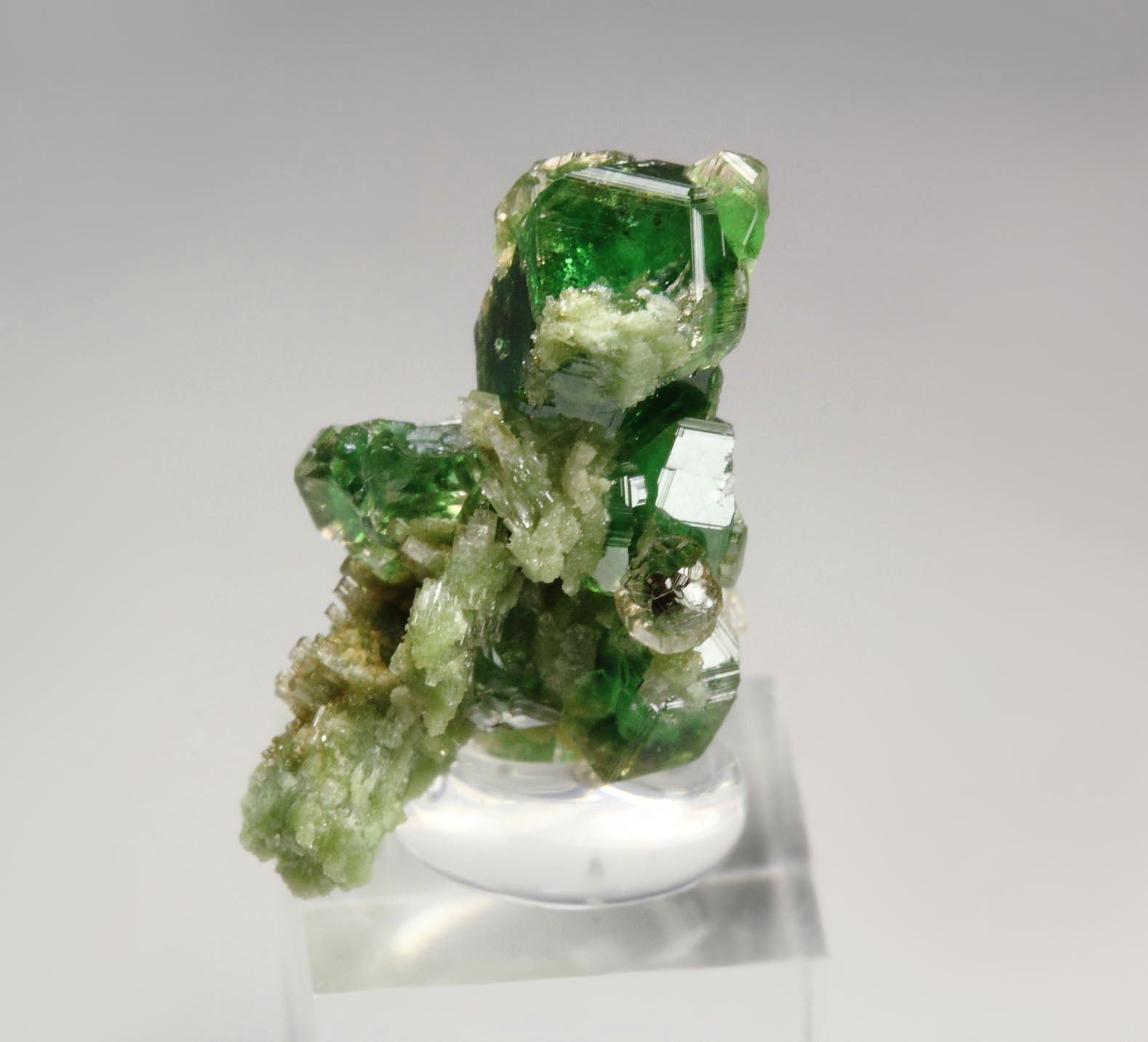 gem GARNET var. GROSSULAR var. CHROMIAN, DIOPSIDE