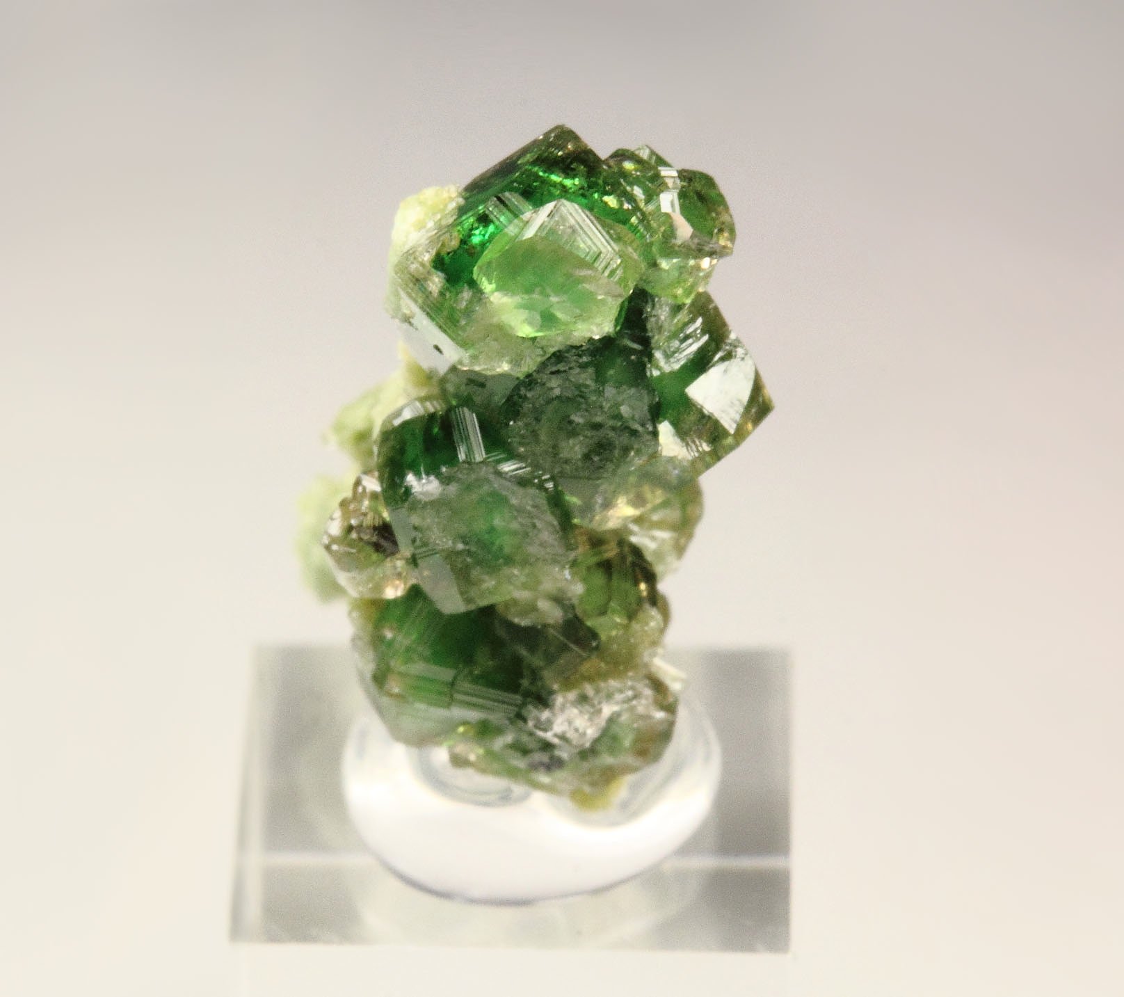 gem GARNET var. GROSSULAR var. CHROMIAN, DIOPSIDE