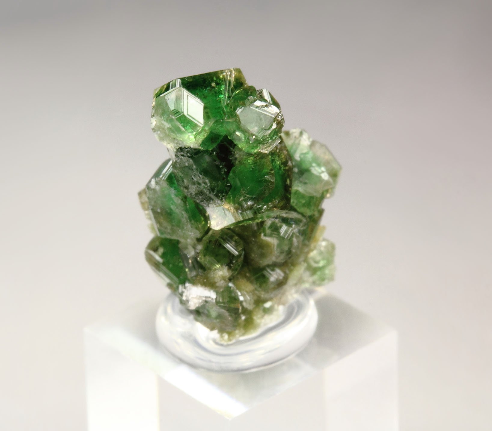 gem GARNET var. GROSSULAR var. CHROMIAN, DIOPSIDE