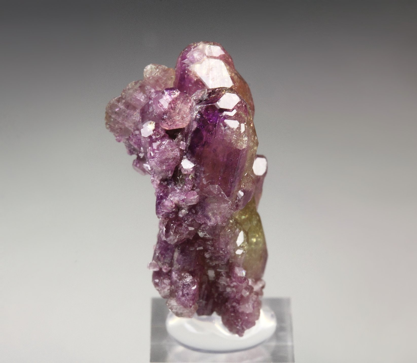 gem VESUVIANITE bi-color