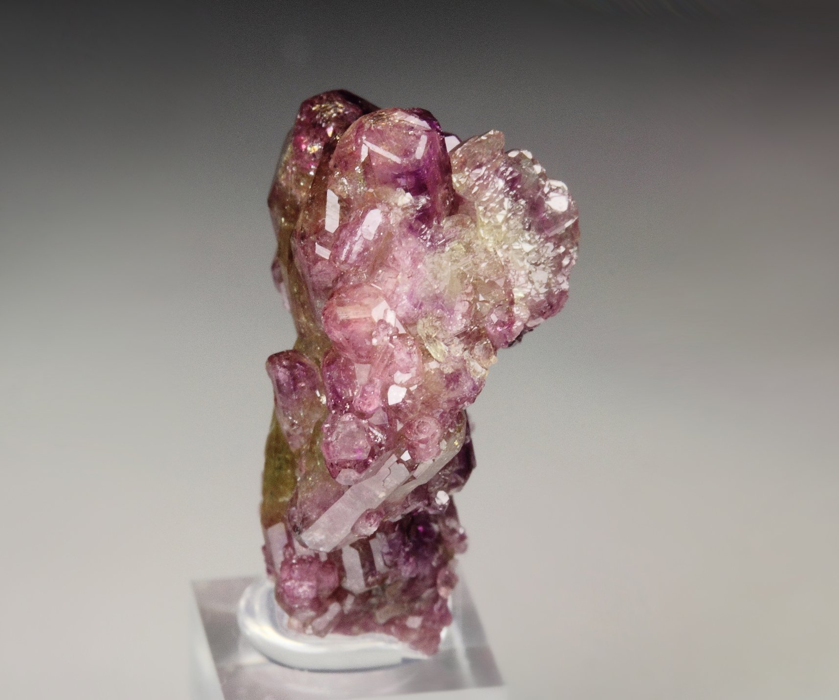 gem VESUVIANITE bi-color