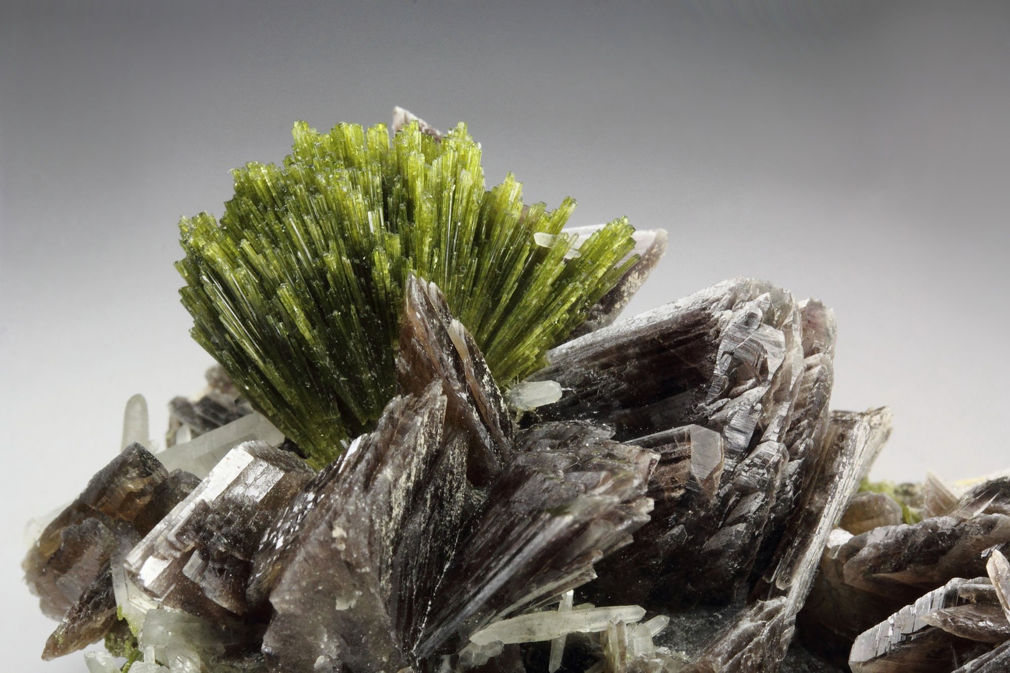 EPIDOTE, AXINITE-Fe