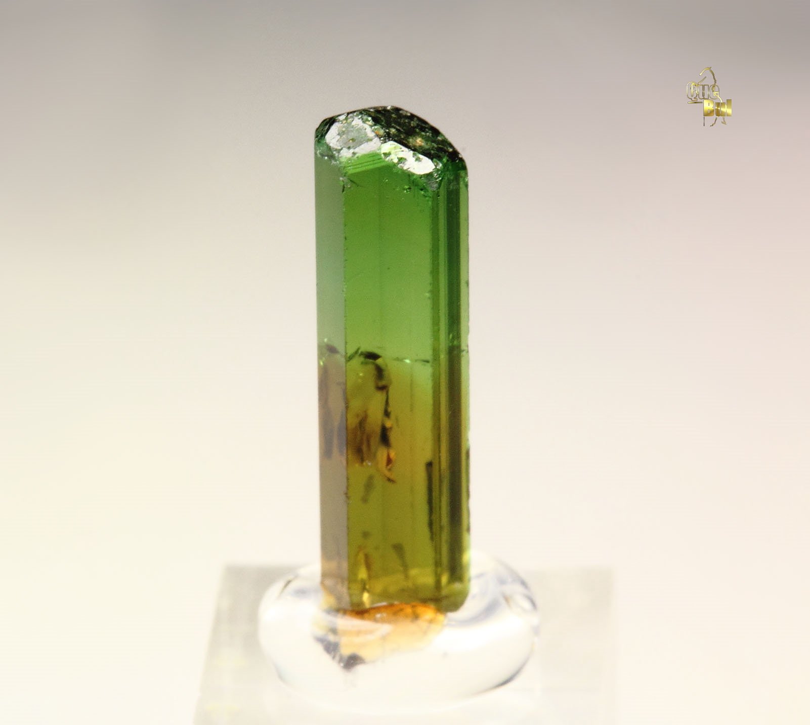 gem TOURMALINE var. DRAVITE