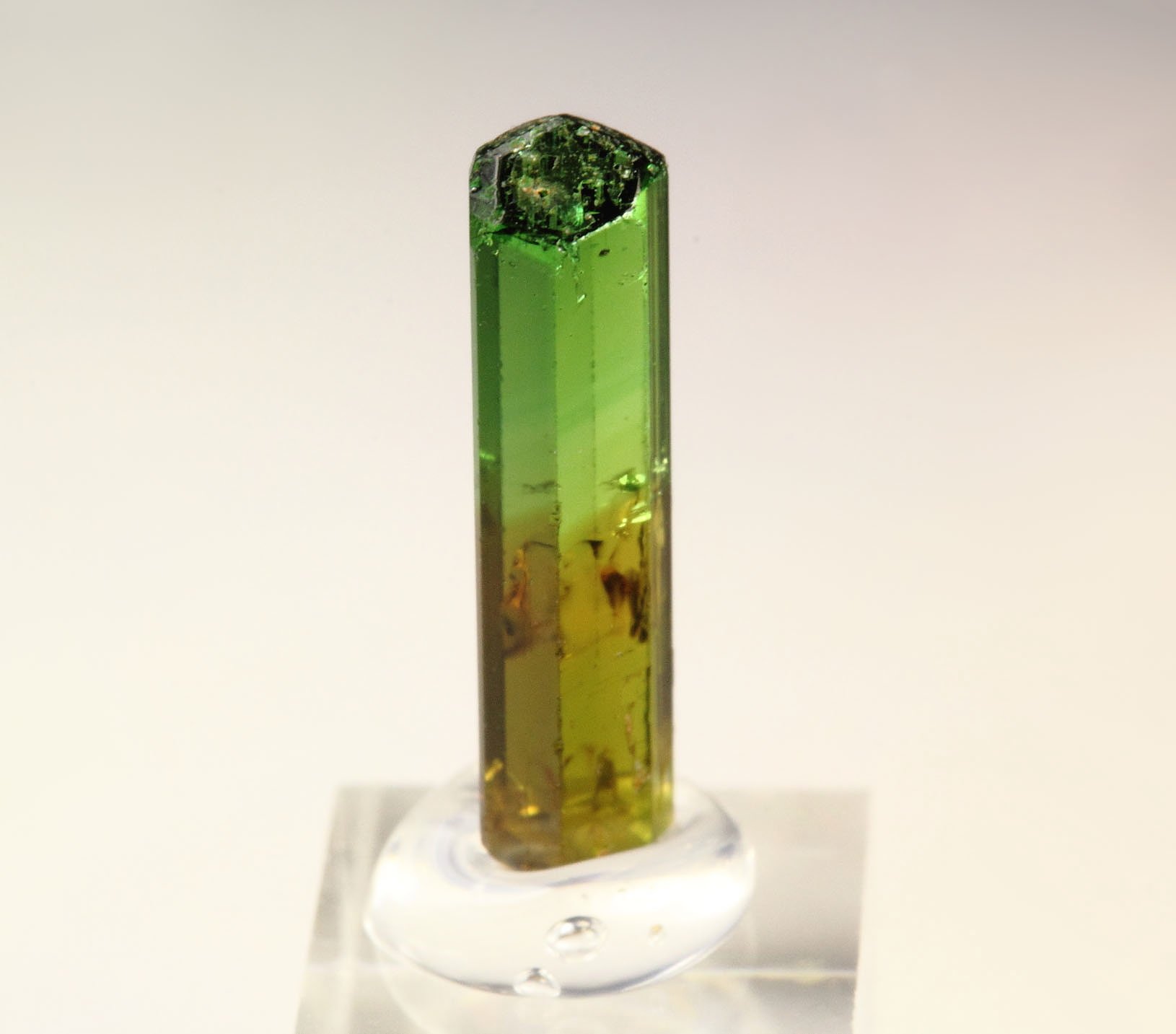 gem TOURMALINE var. DRAVITE