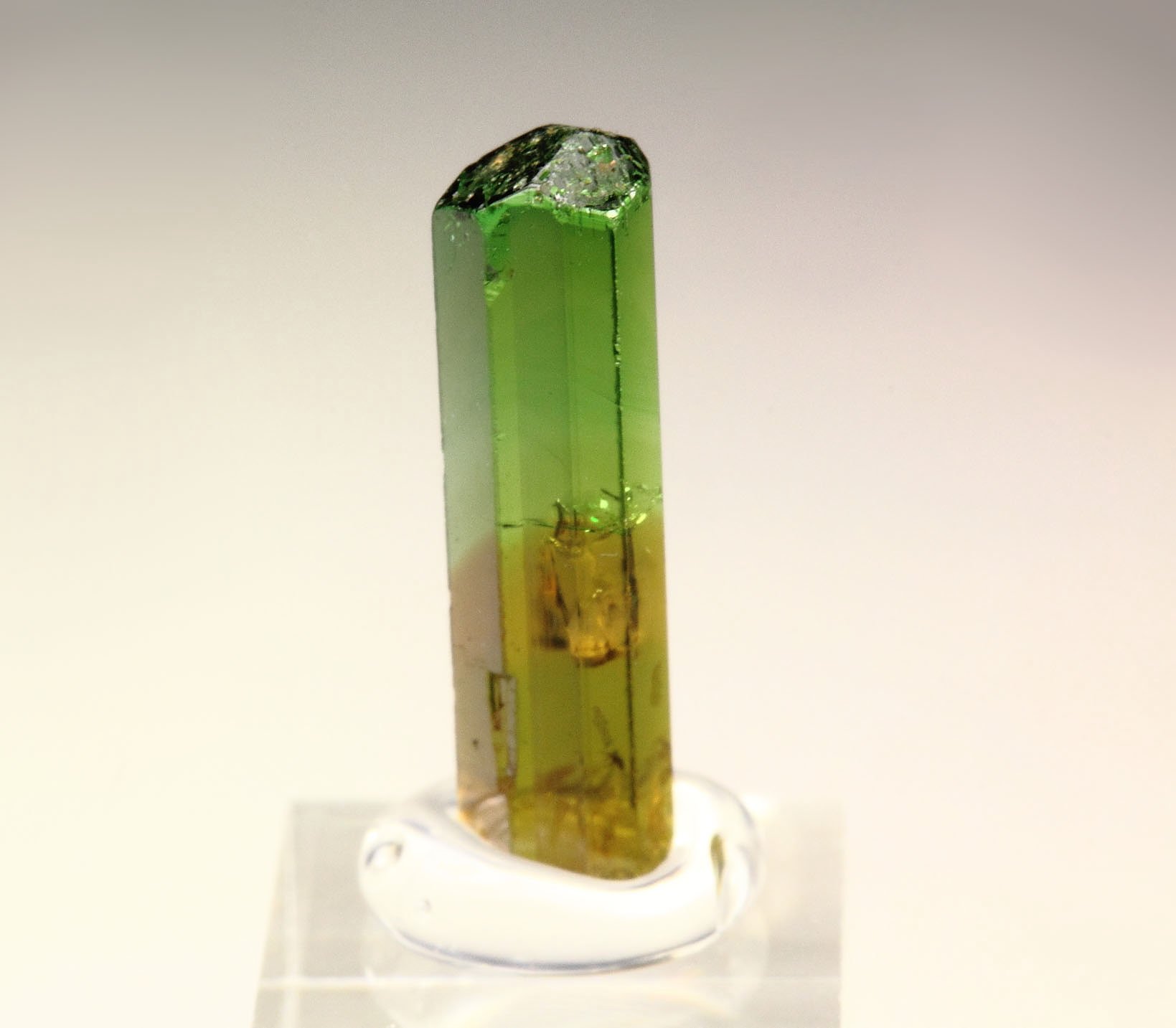 gem TOURMALINE var. DRAVITE