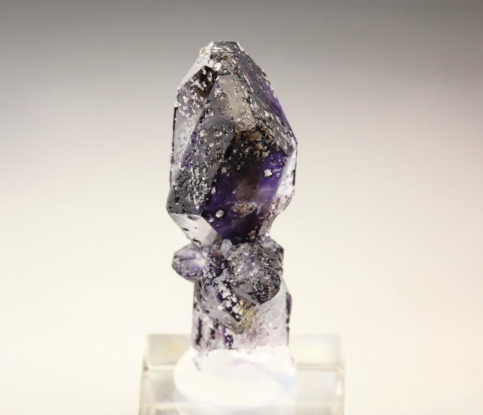 new find - FLUORITE - SPINEL LAW TWIN floater