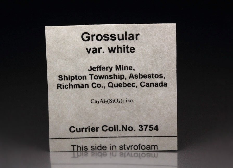 colorless GARNET var. GROSSULAR, DIOPSIDE floater