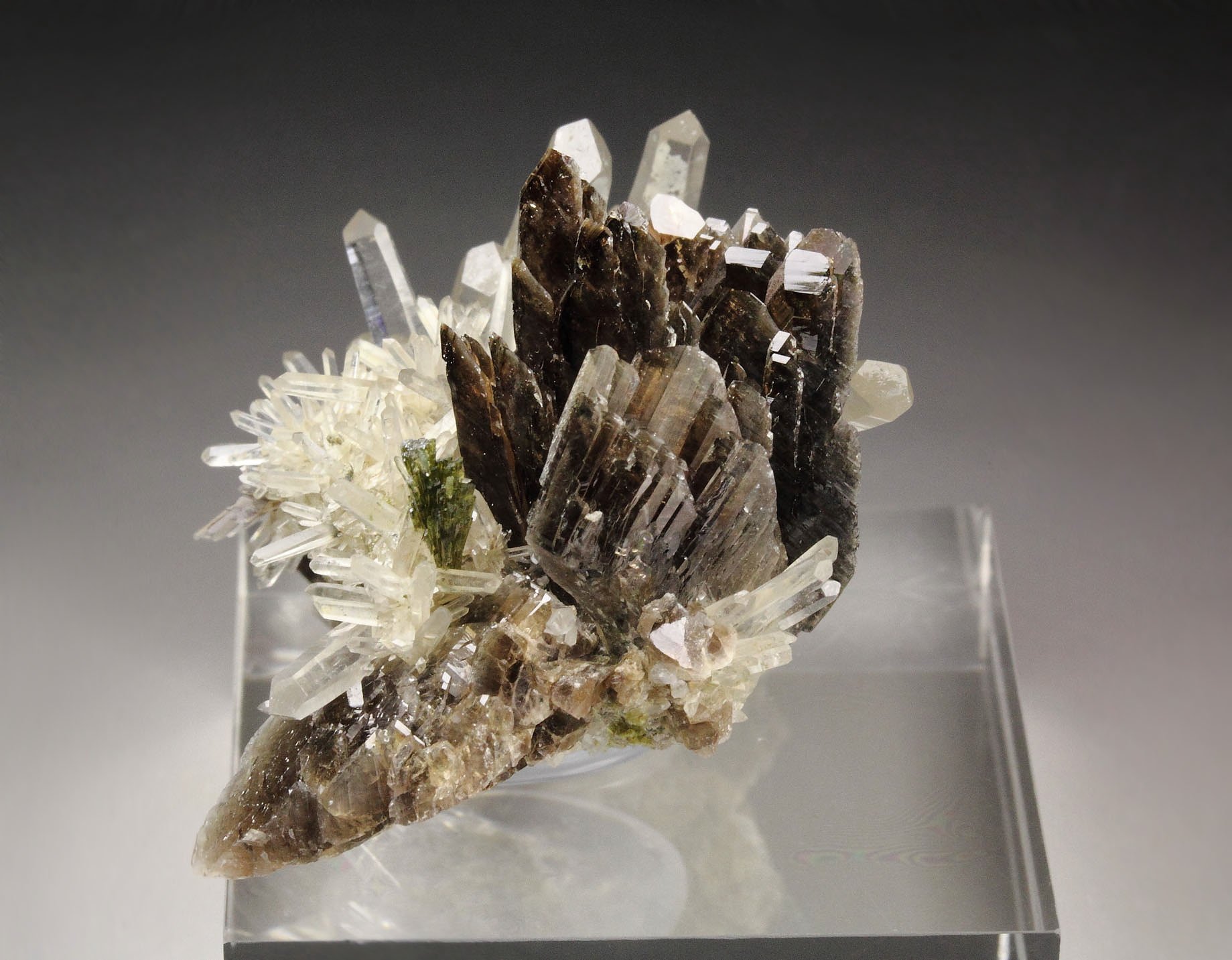 AXINITE-Fe, QUARTZ, EPIDOTE