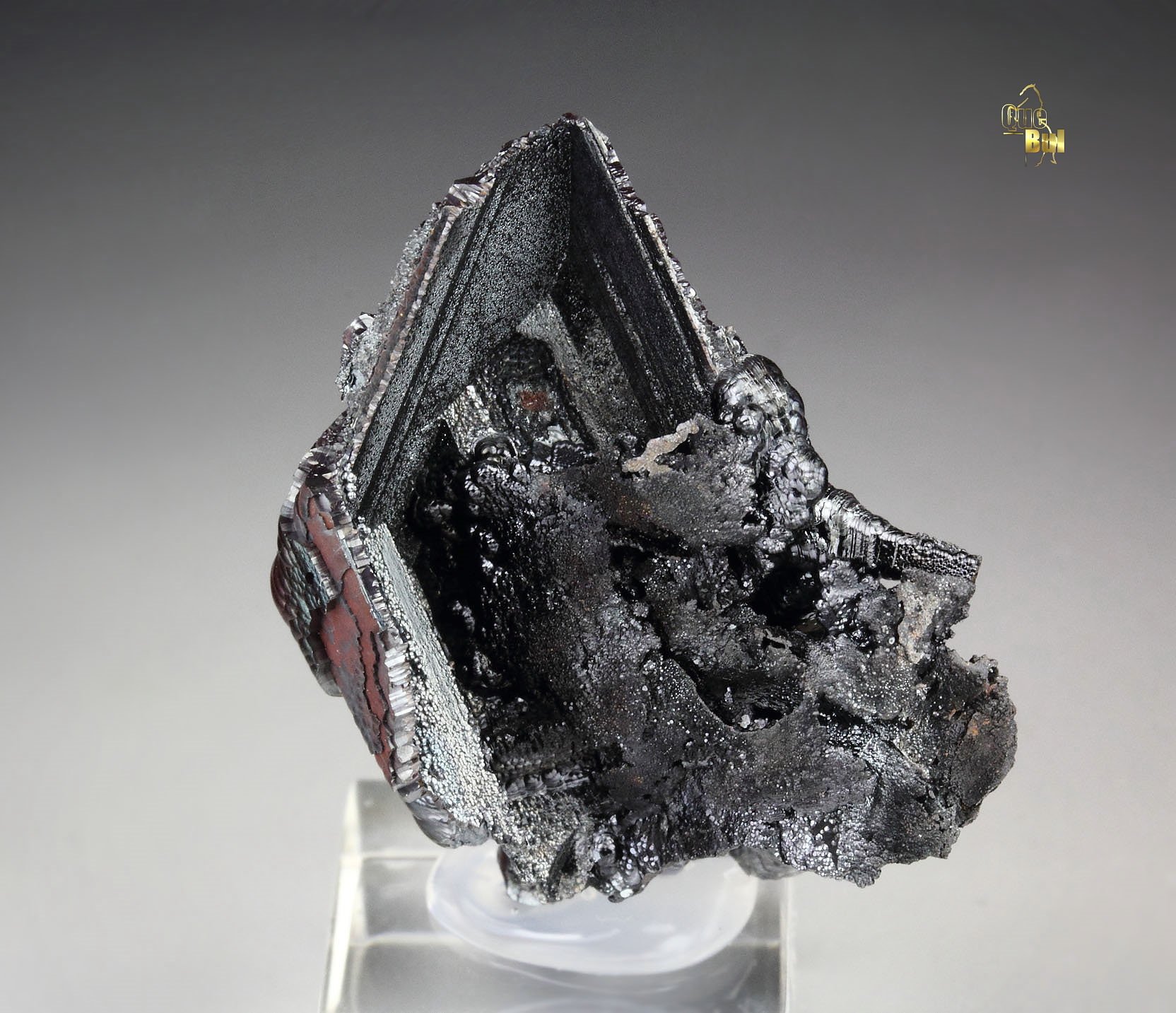 GOETHITE epimorph after SELENITE