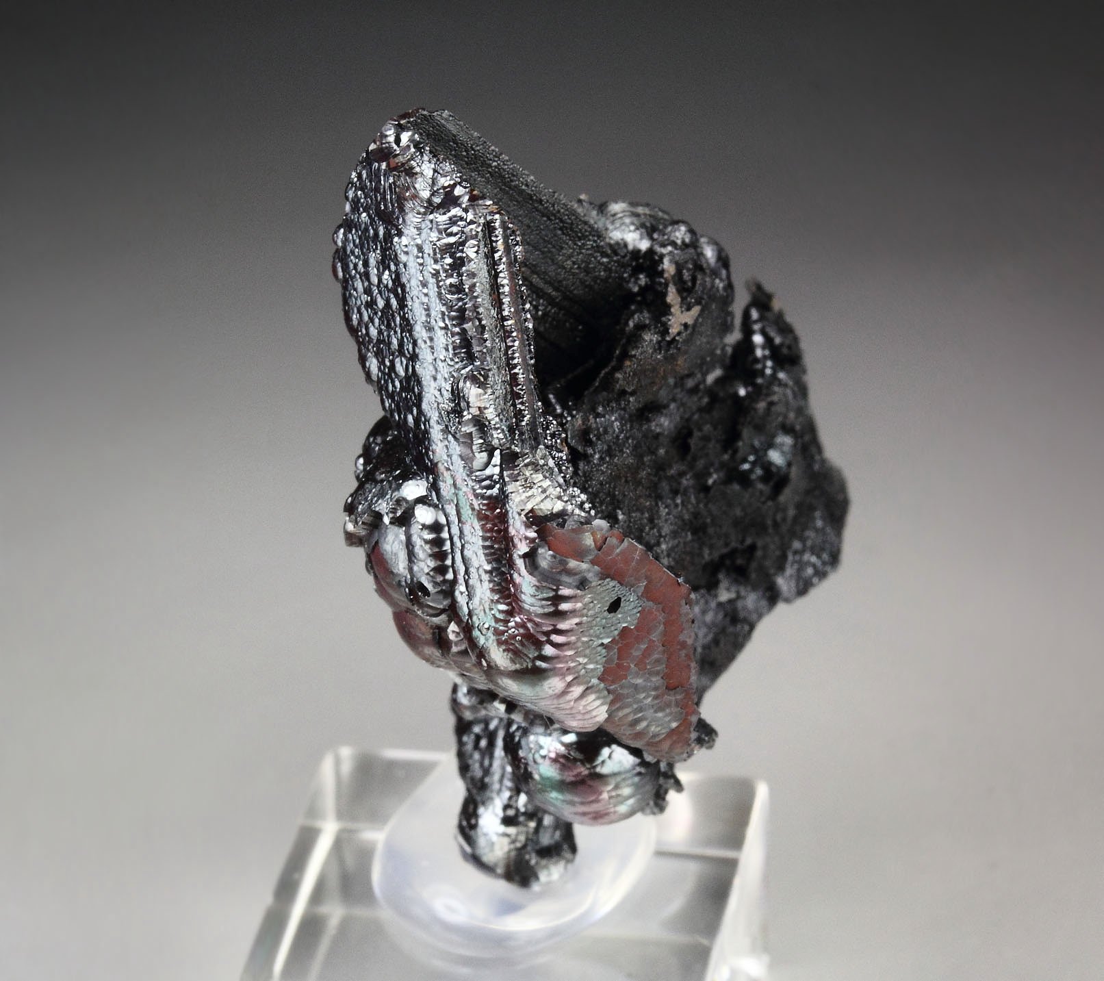 GOETHITE epimorph after SELENITE