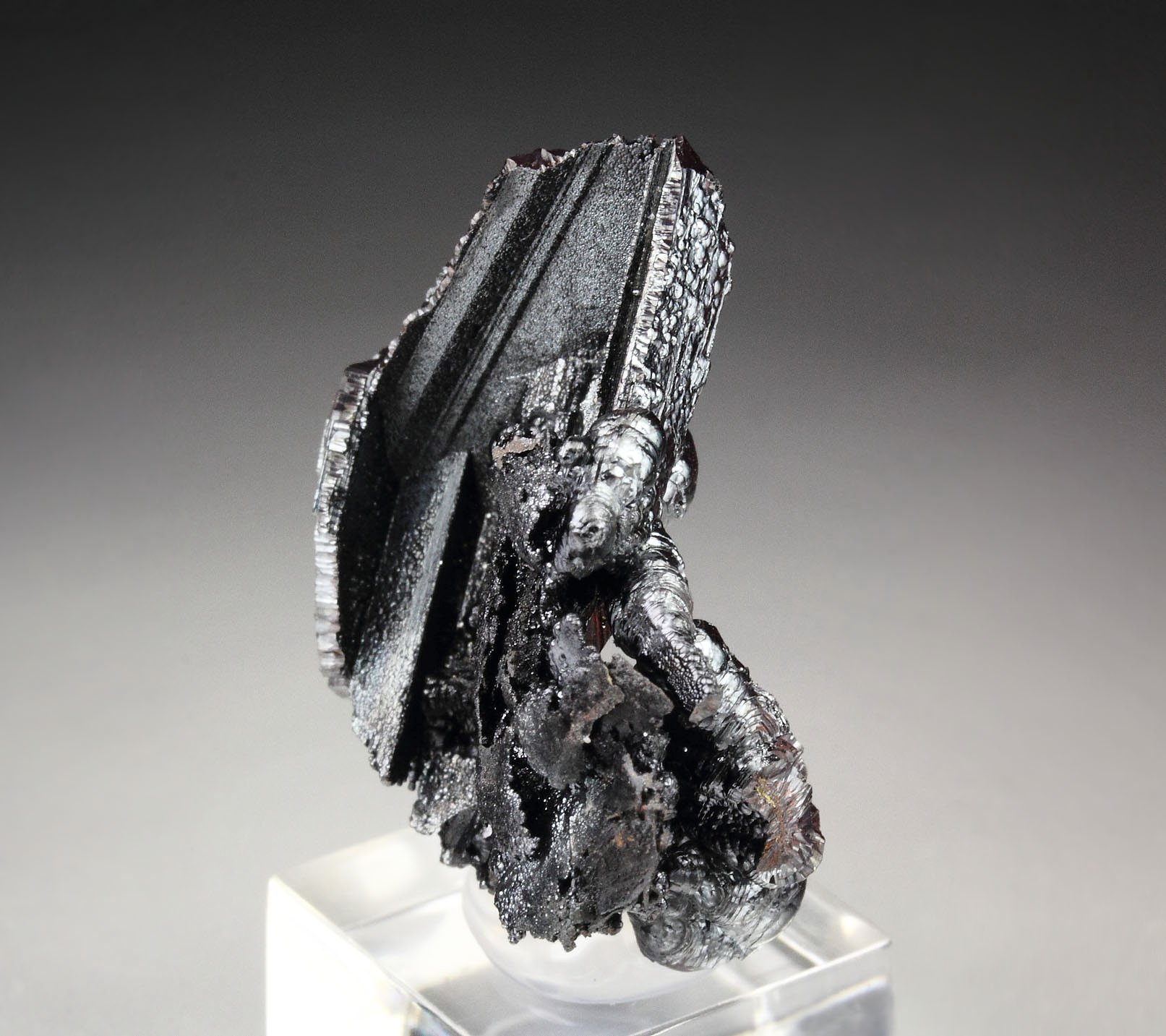 GOETHITE epimorph after SELENITE