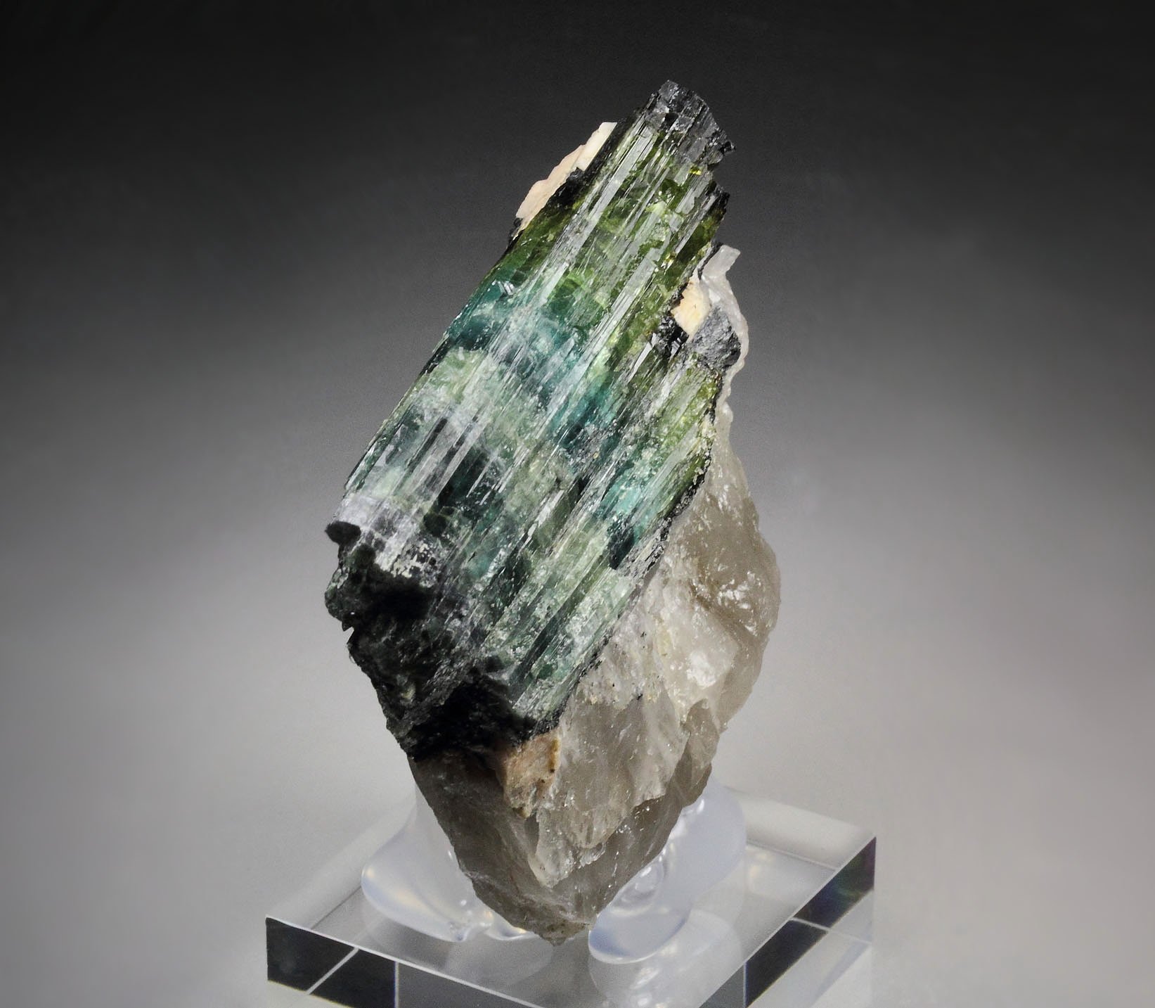 new find - gemmy TOURMALINE var. ELBAITE