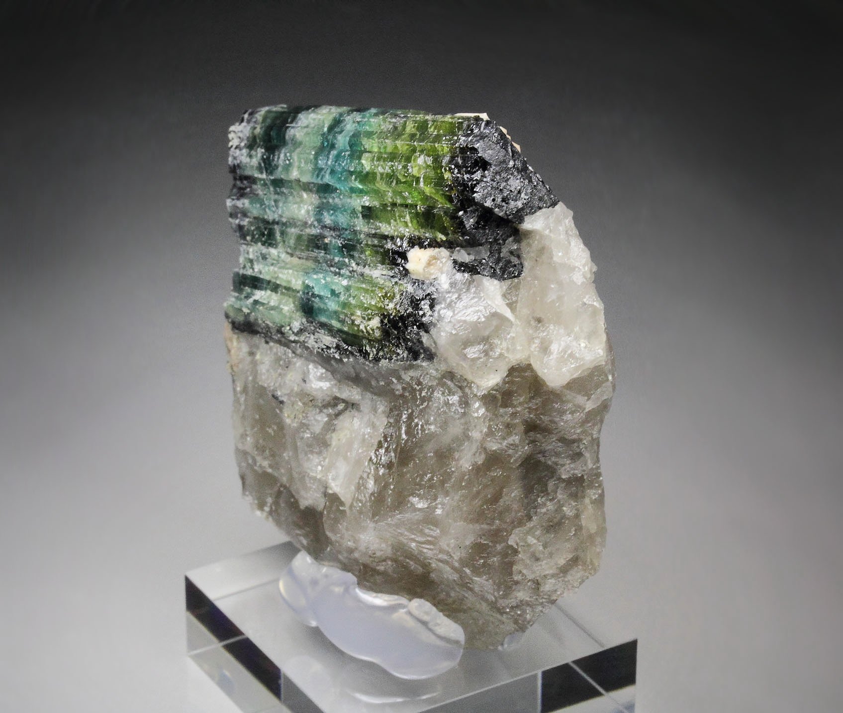 new find - gemmy TOURMALINE var. ELBAITE