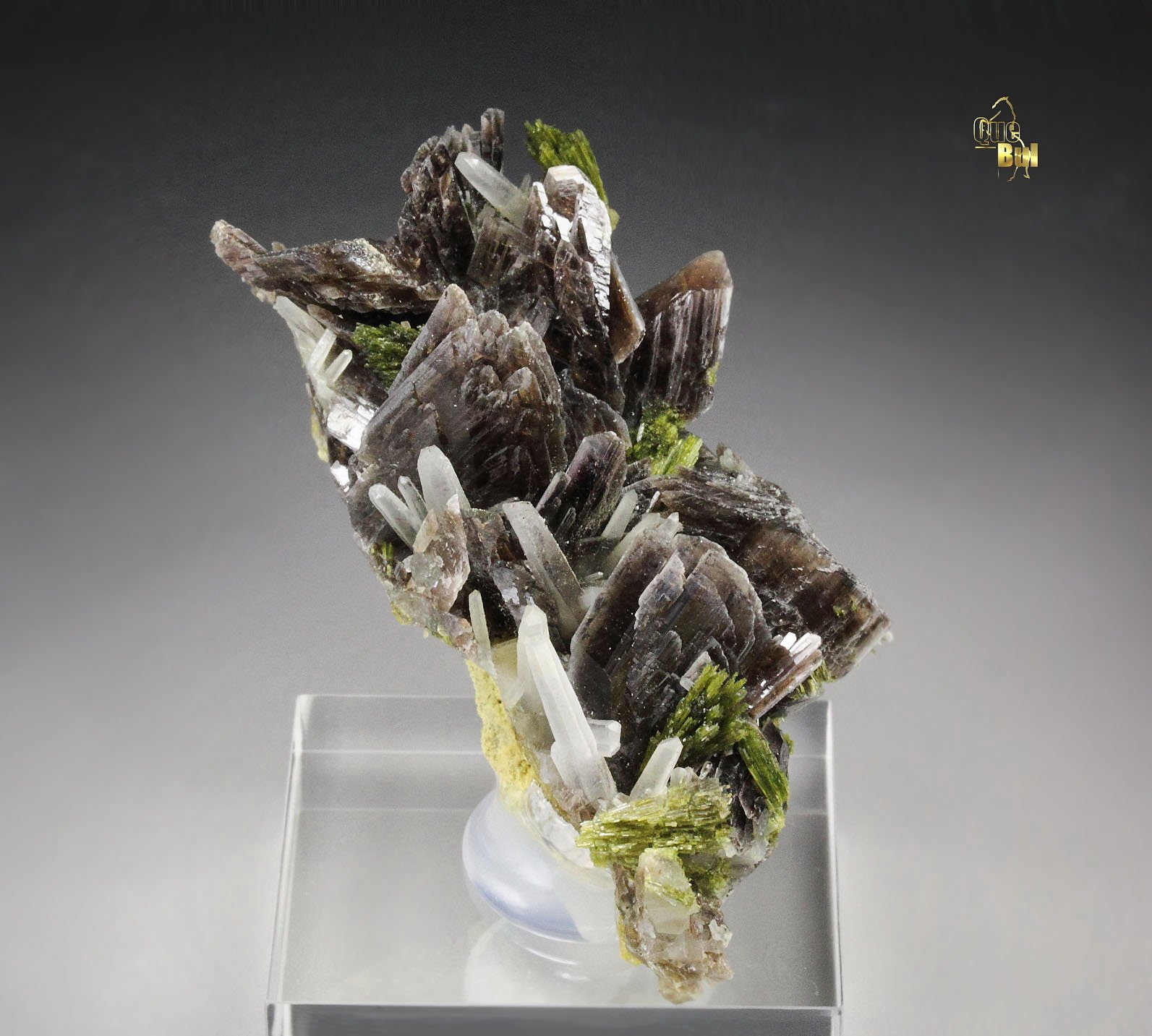 AXINITE-Fe, EPIDOTE, QUARTZ 