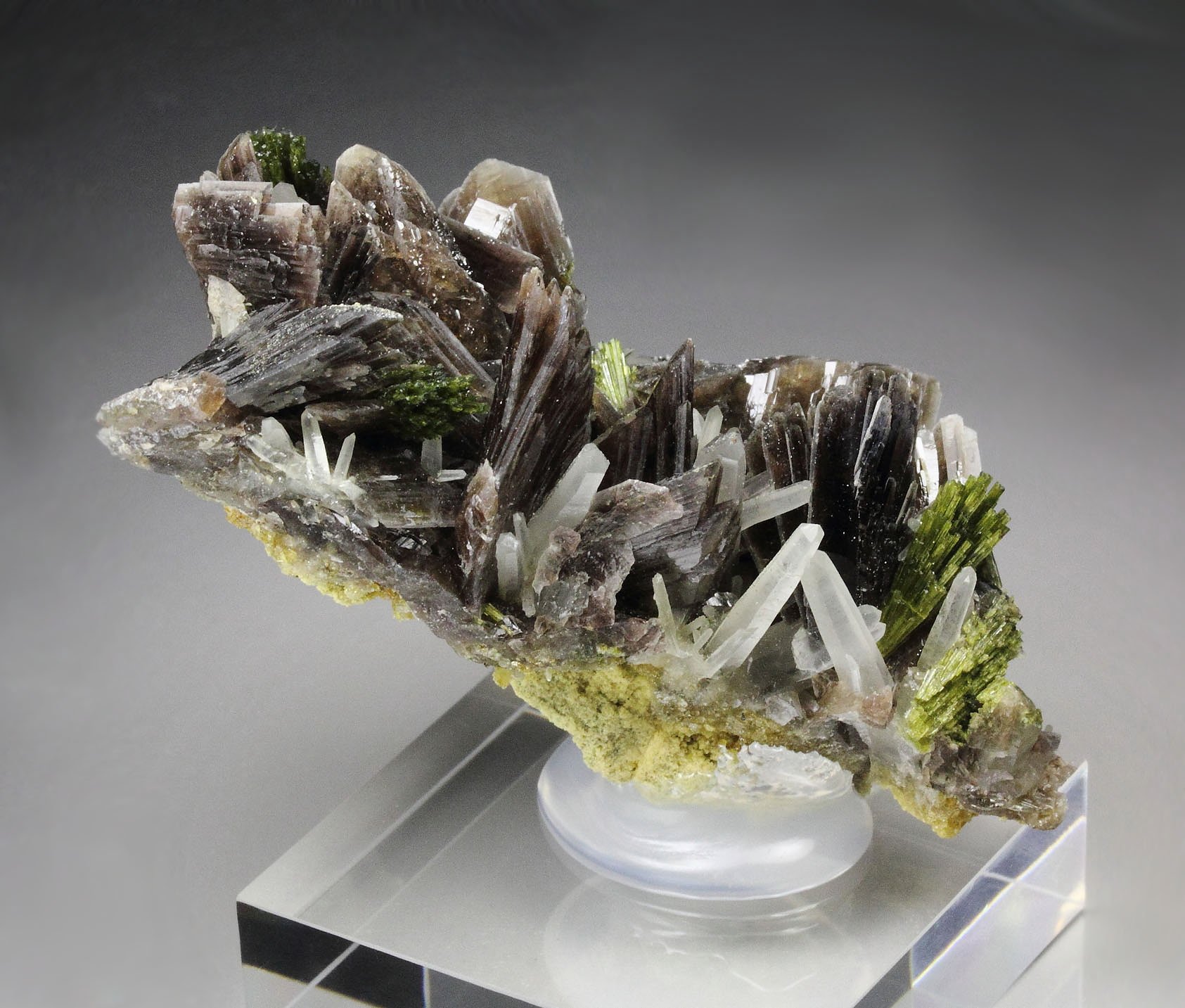 AXINITE-Fe, EPIDOTE, QUARTZ 