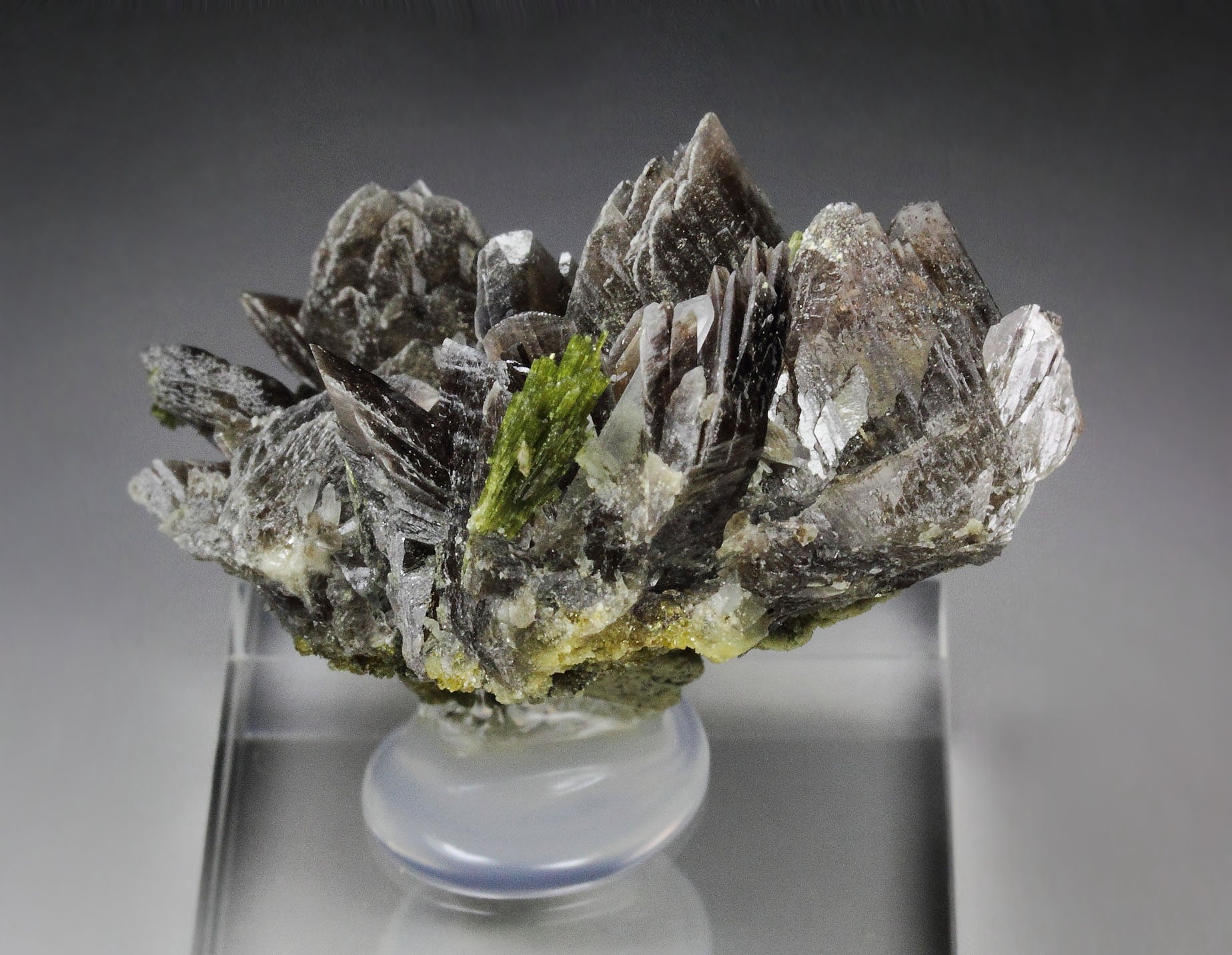 AXINITE-Fe, EPIDOTE, QUARTZ 