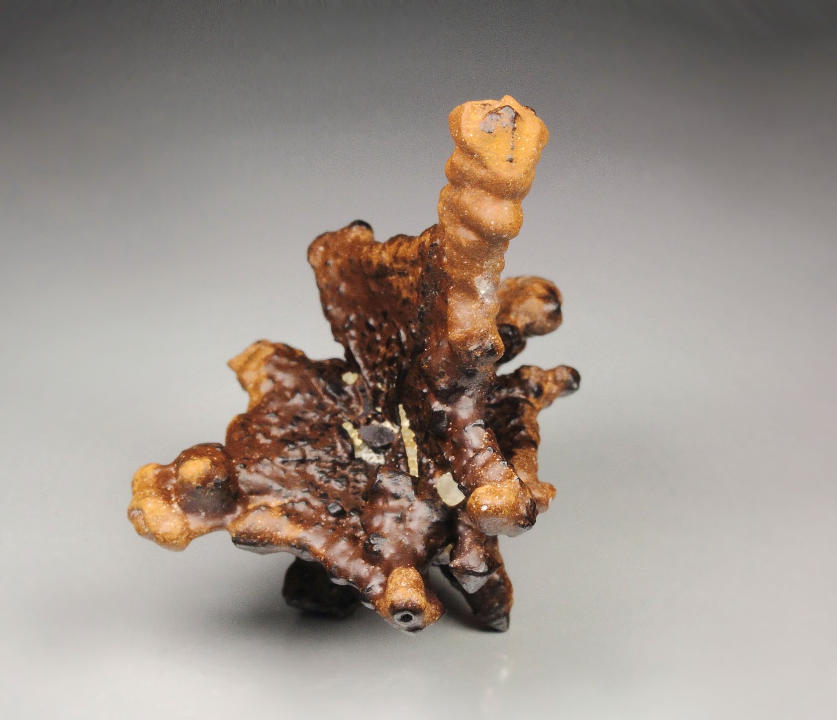 GOETHITE pseudomorph after MARCASITE