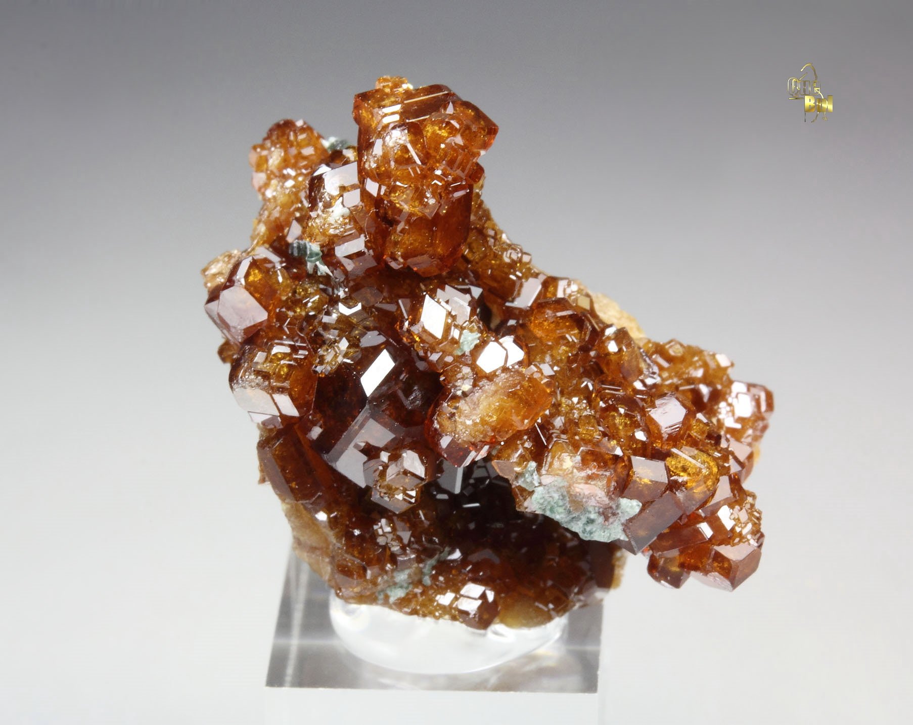 gem GARNET var. HESSONITE, CLINOCHLORE