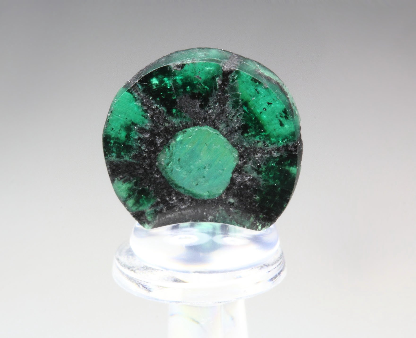 BERYL var. EMERALD - TRAPICHE