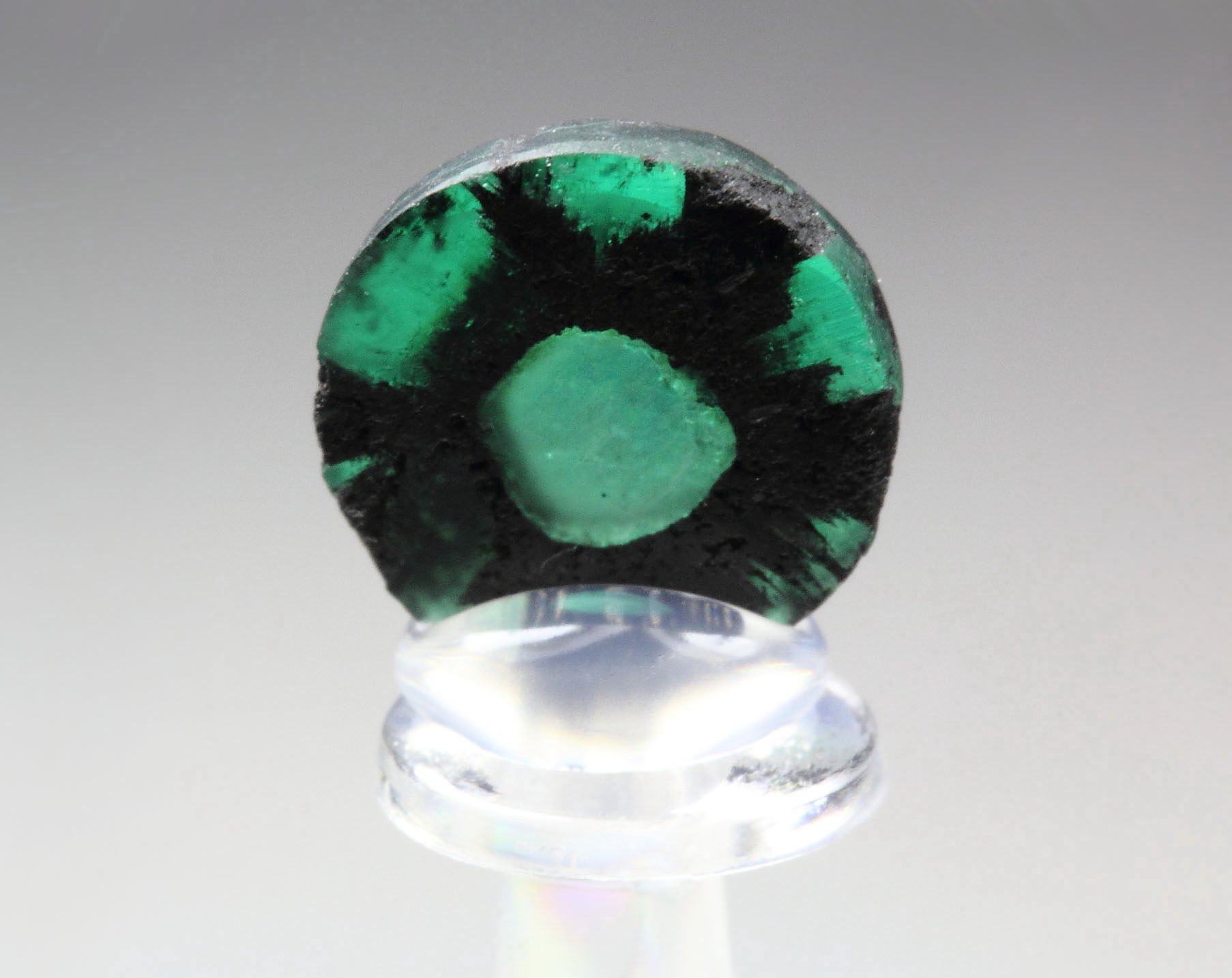 BERYL var. EMERALD - TRAPICHE