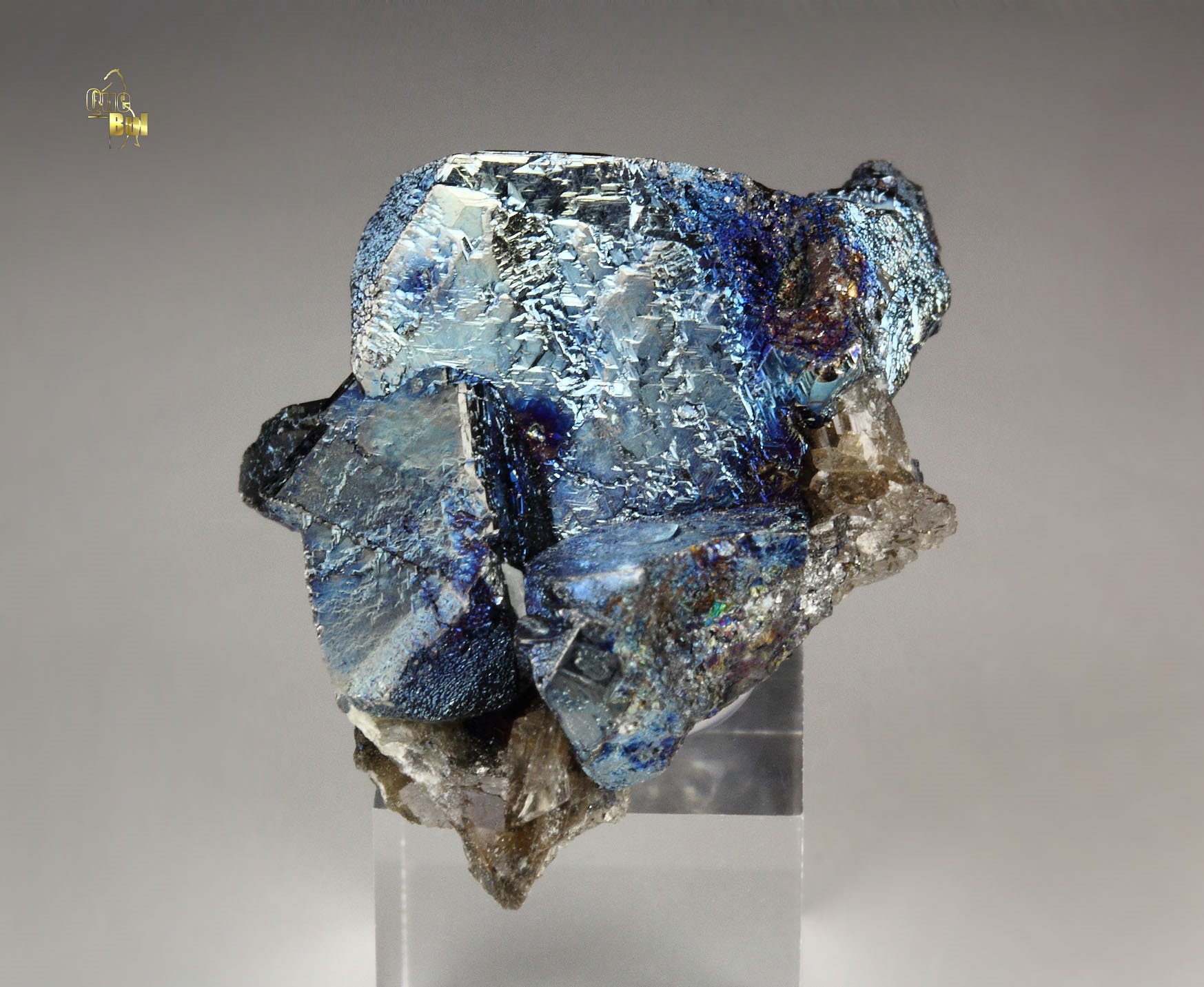 TETRAHEDRITE, CHALCOPYRITE, COVELLITE