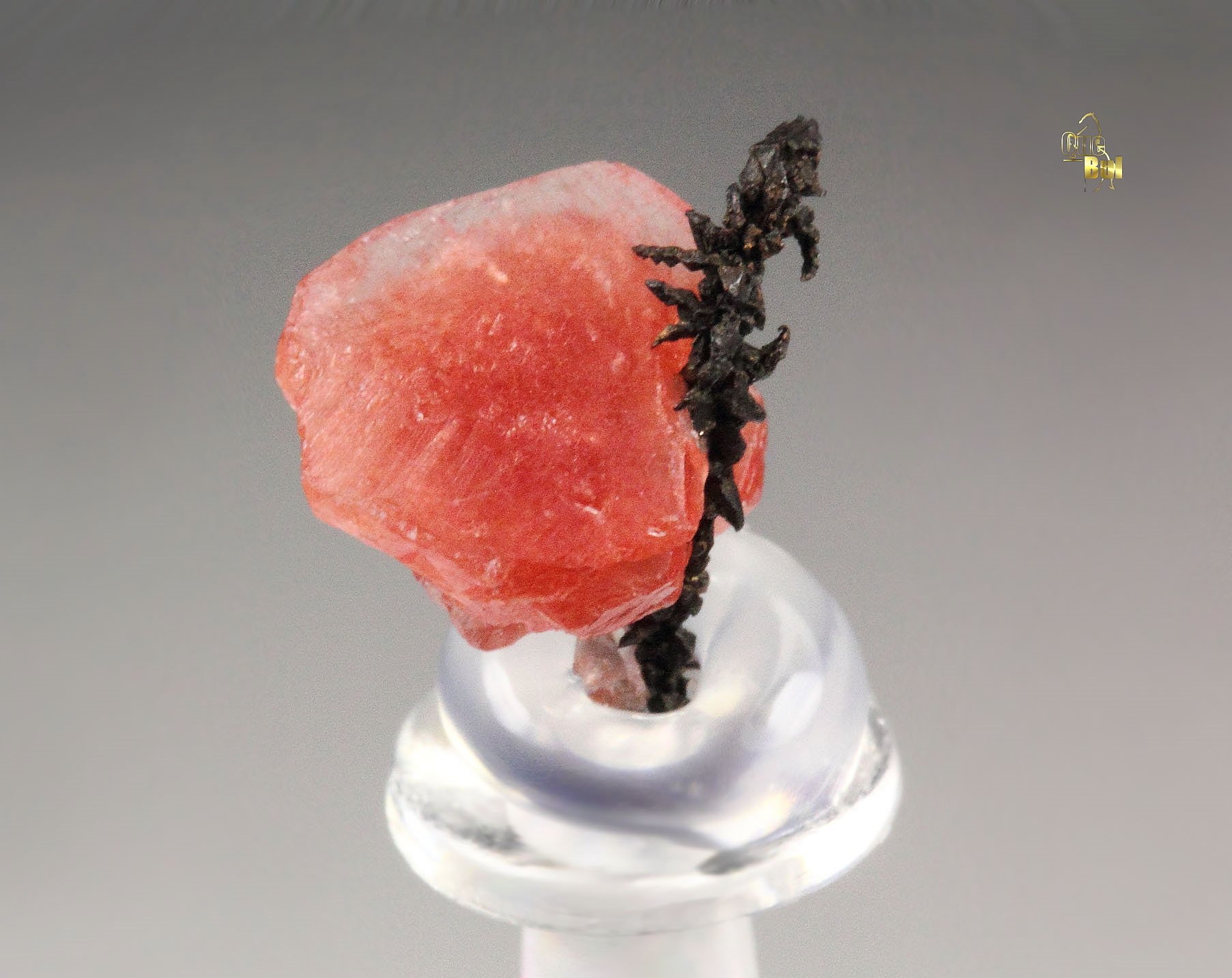 CALCITE with CUPRITE var. CHALCOTRICHITE inclusions, COPPER