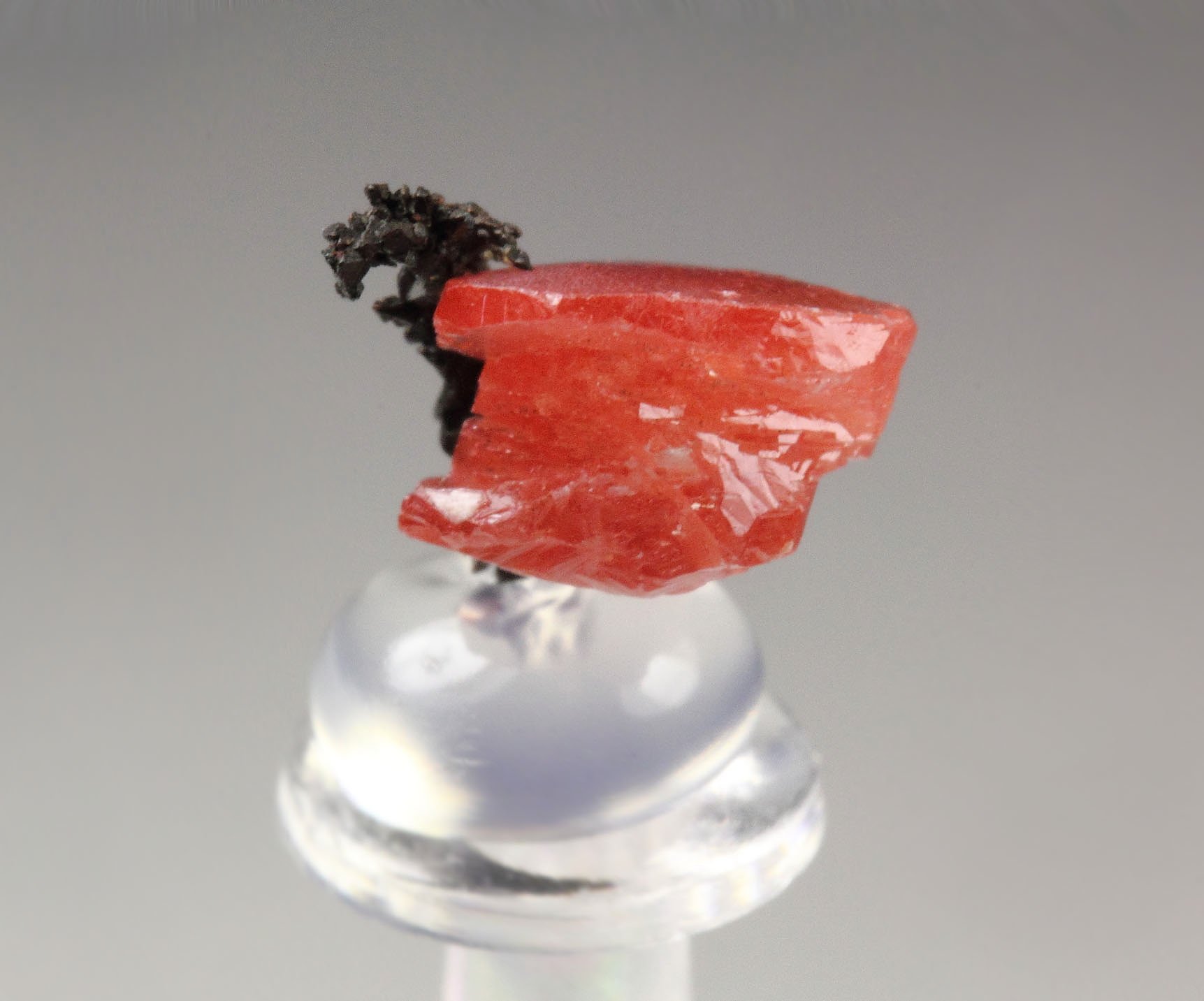 CALCITE with CUPRITE var. CHALCOTRICHITE inclusions, COPPER