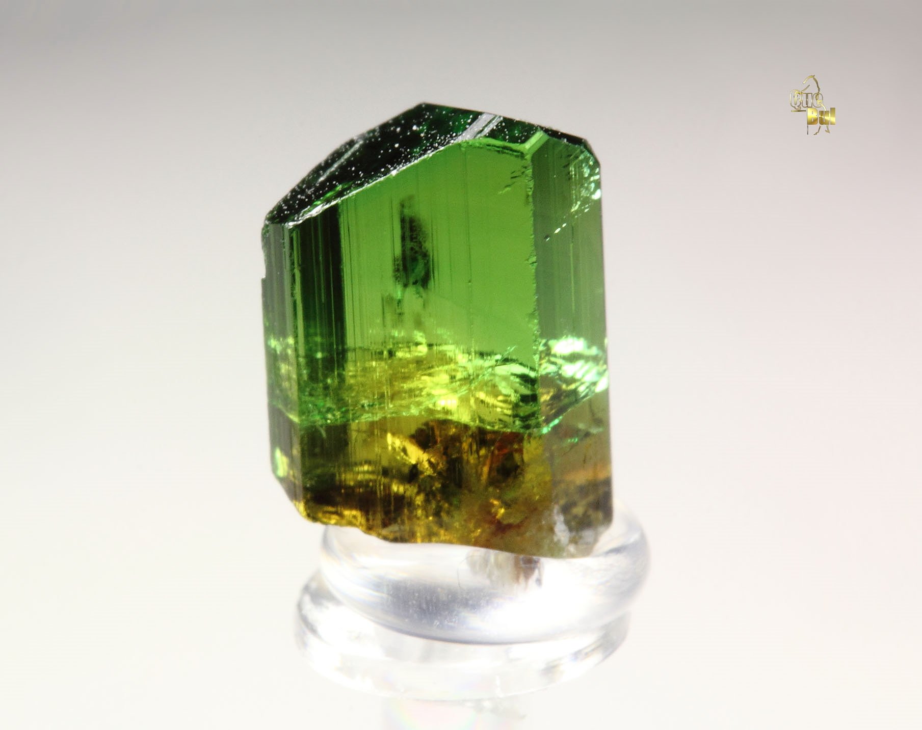 gem TOURMALINE var. DRAVITE