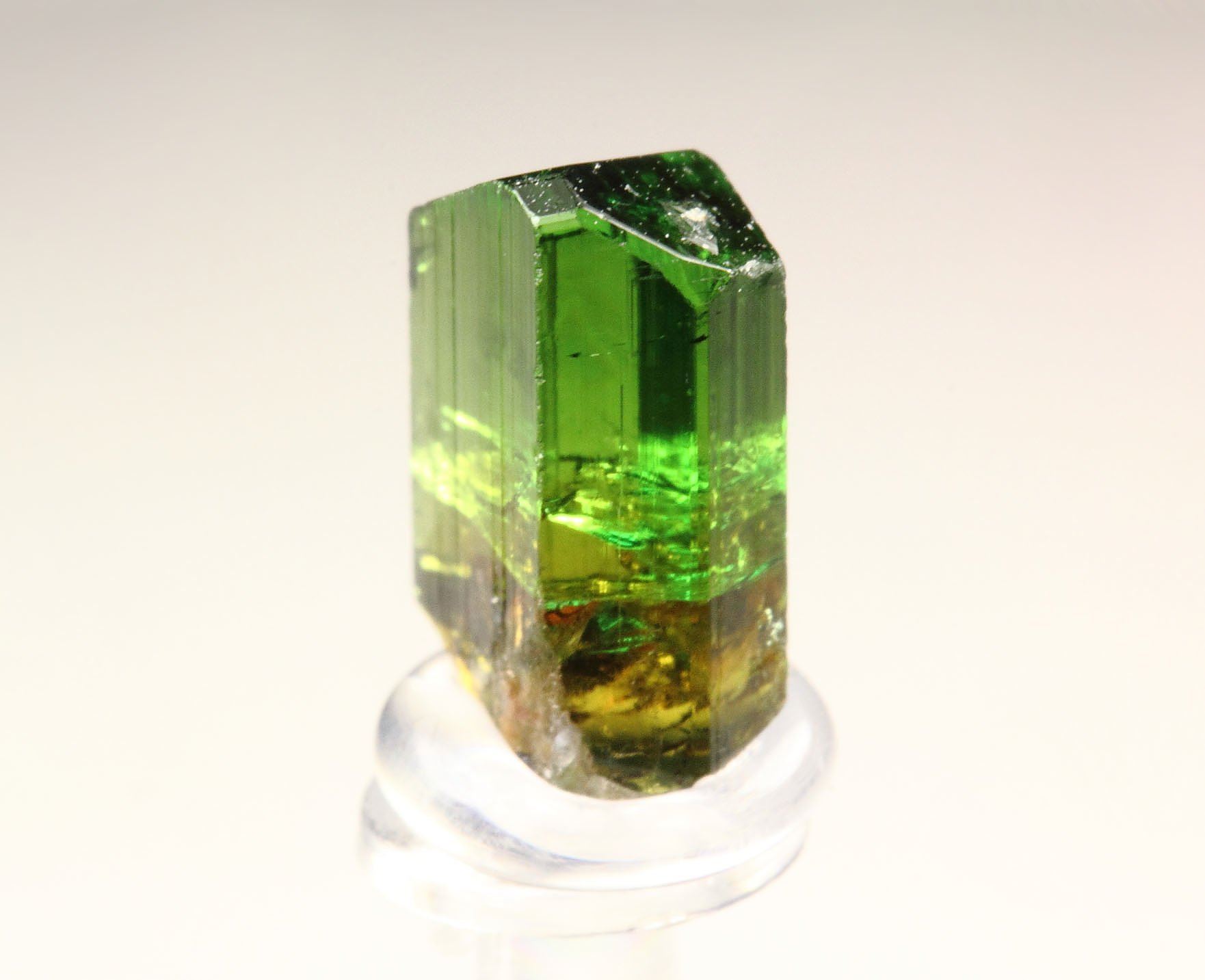 gem TOURMALINE var. DRAVITE