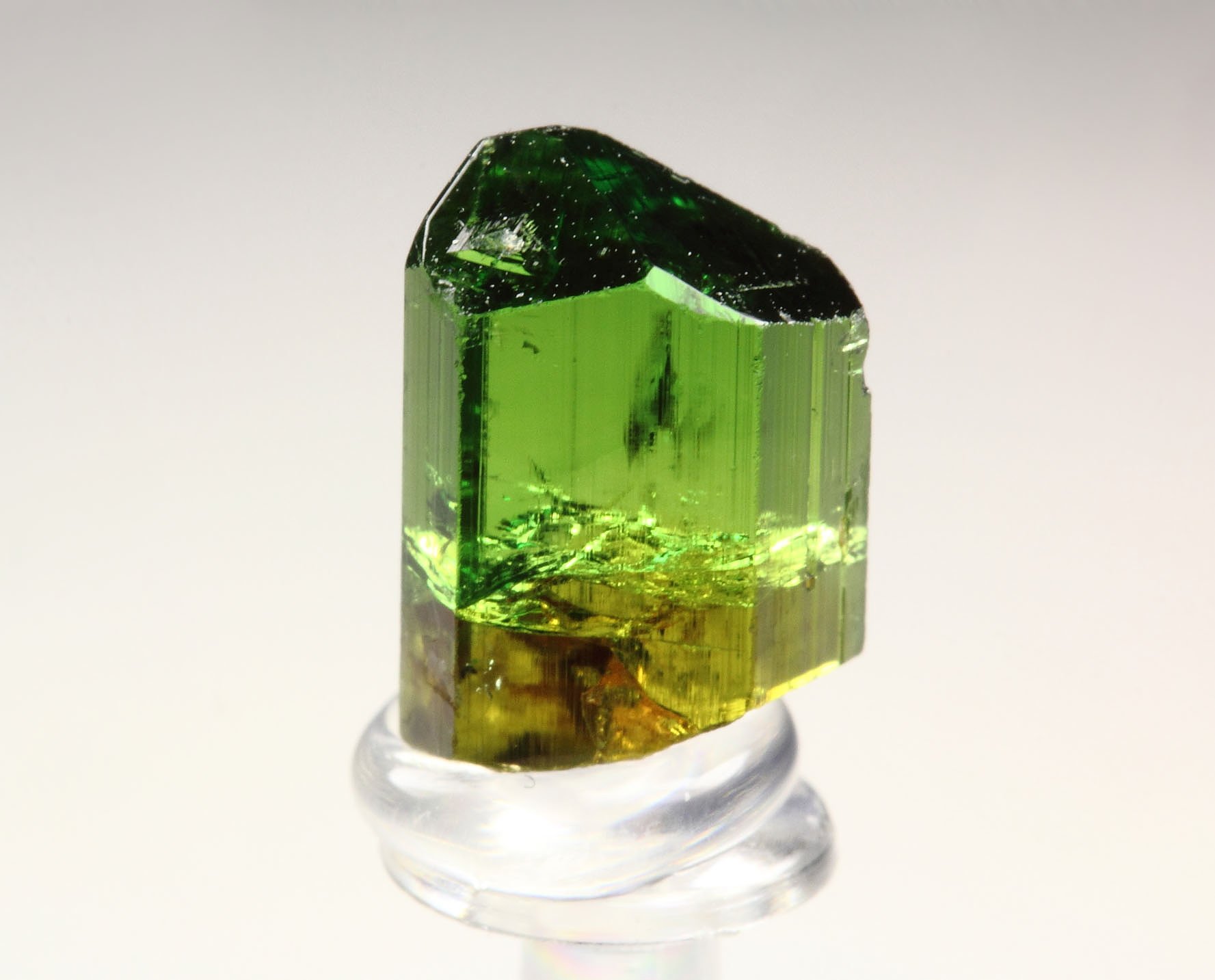 gem TOURMALINE var. DRAVITE