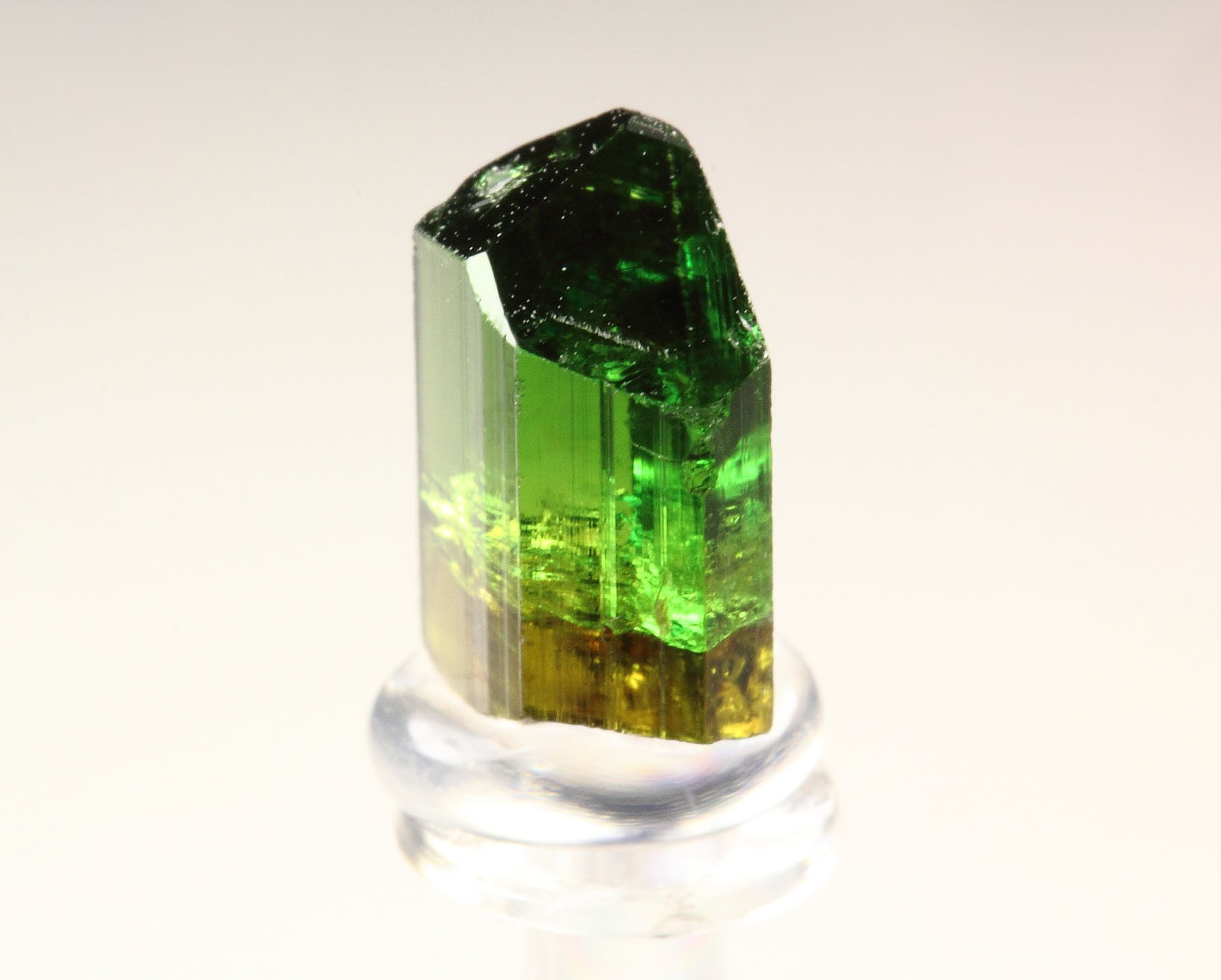 gem TOURMALINE var. DRAVITE