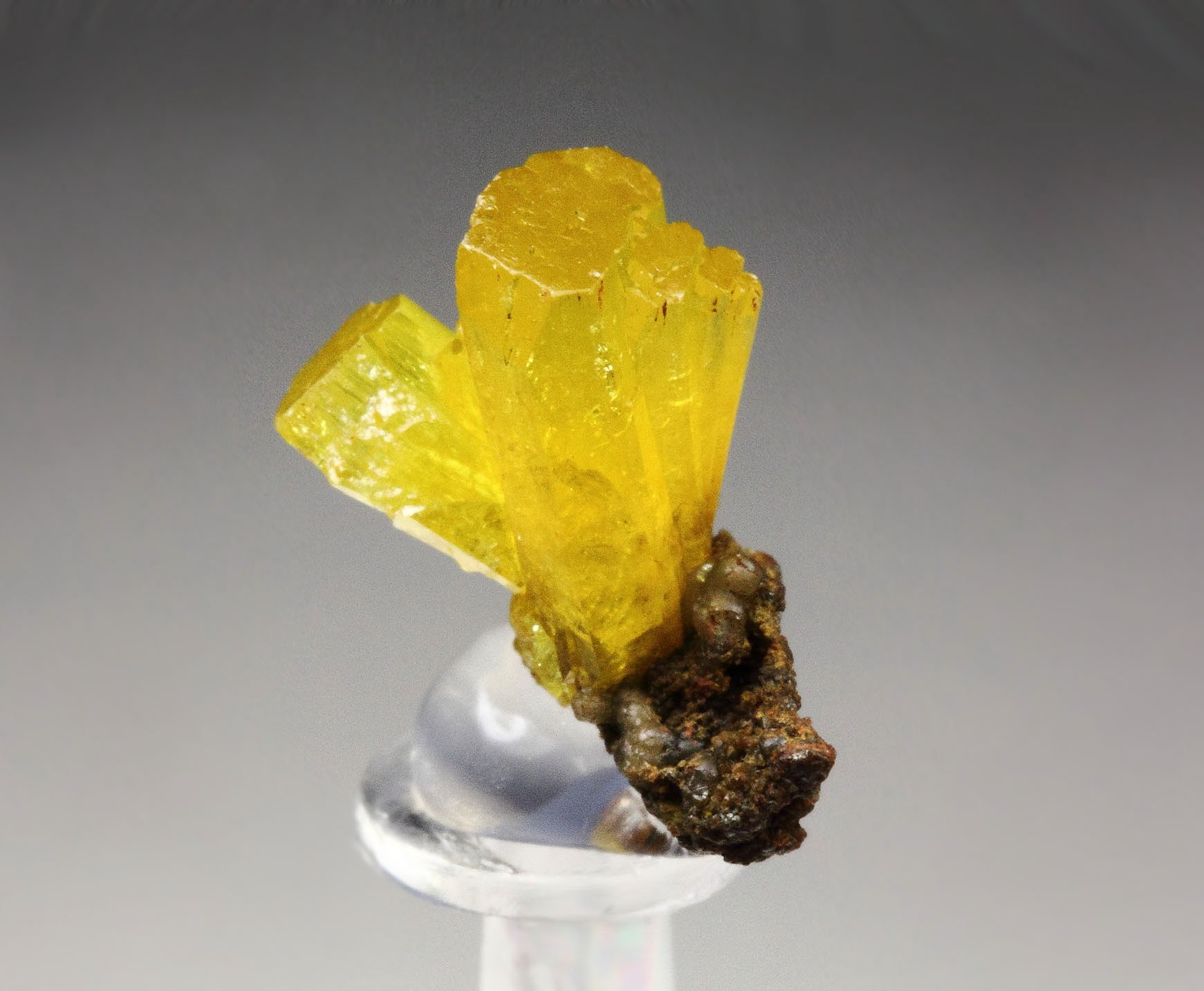 gemmy LEGRANDITE