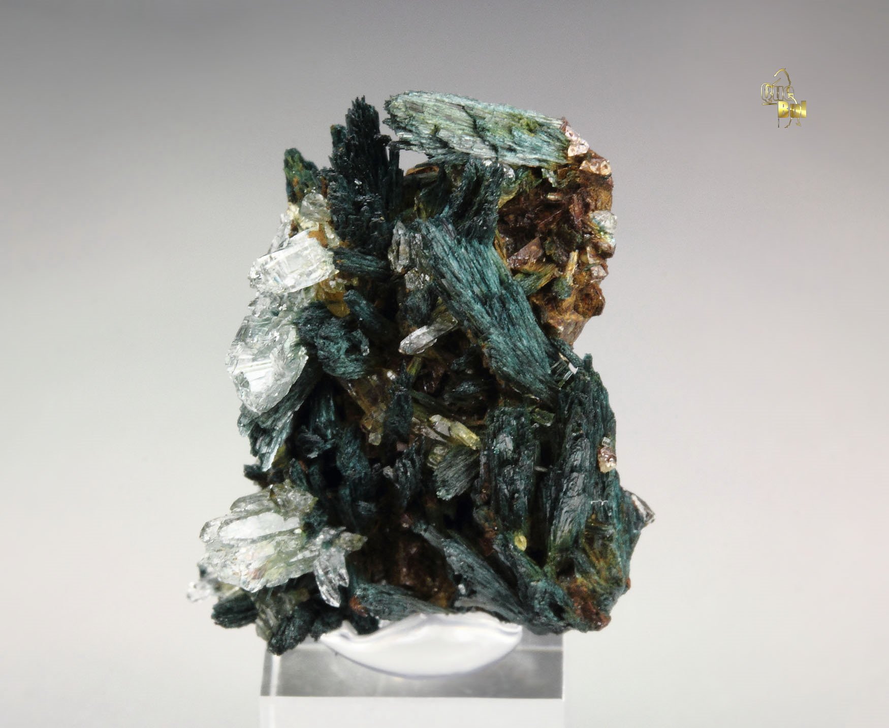 GORMANITE, QUARTZ