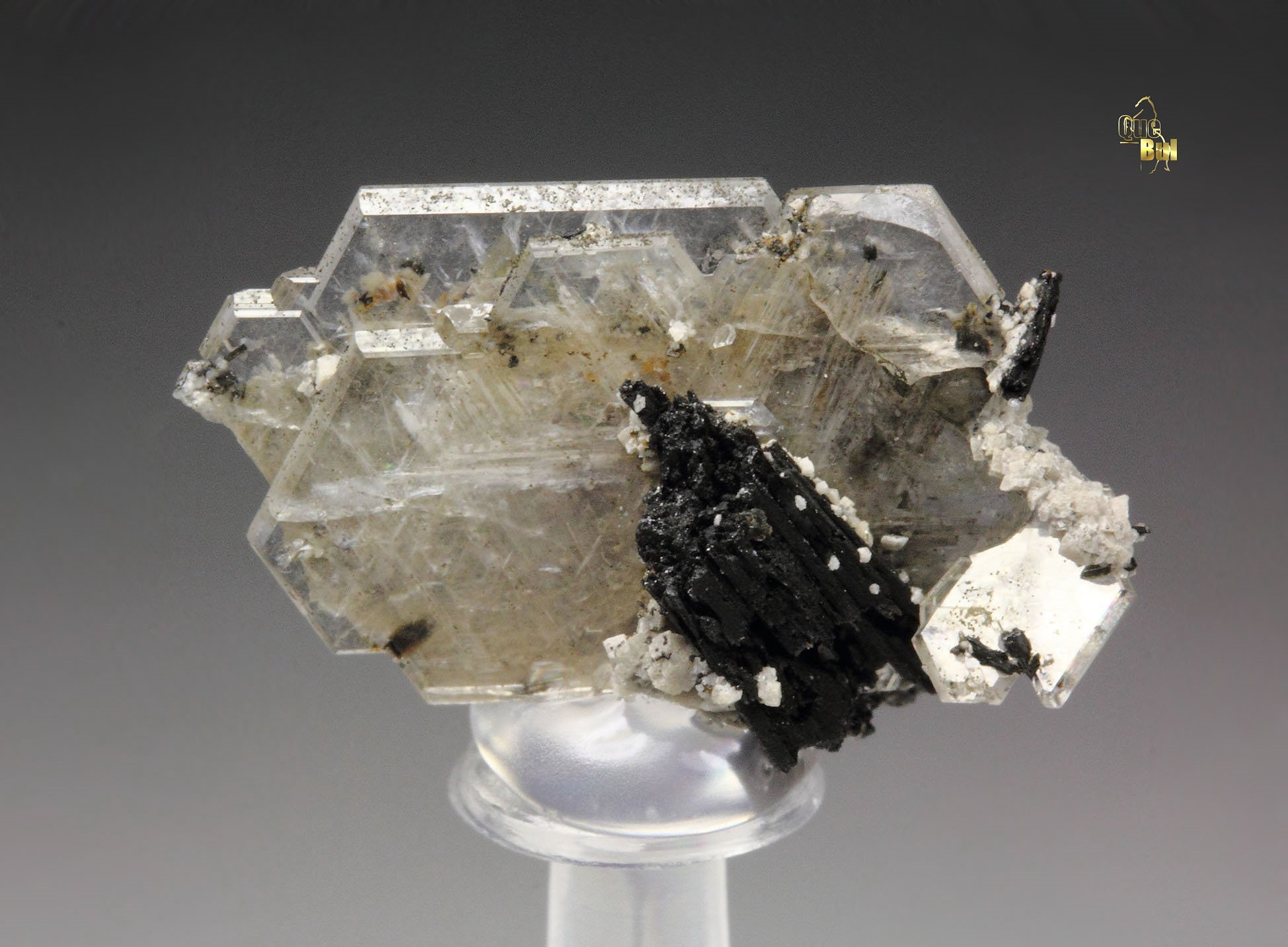 CATAPLEIITE, AEGIRINE