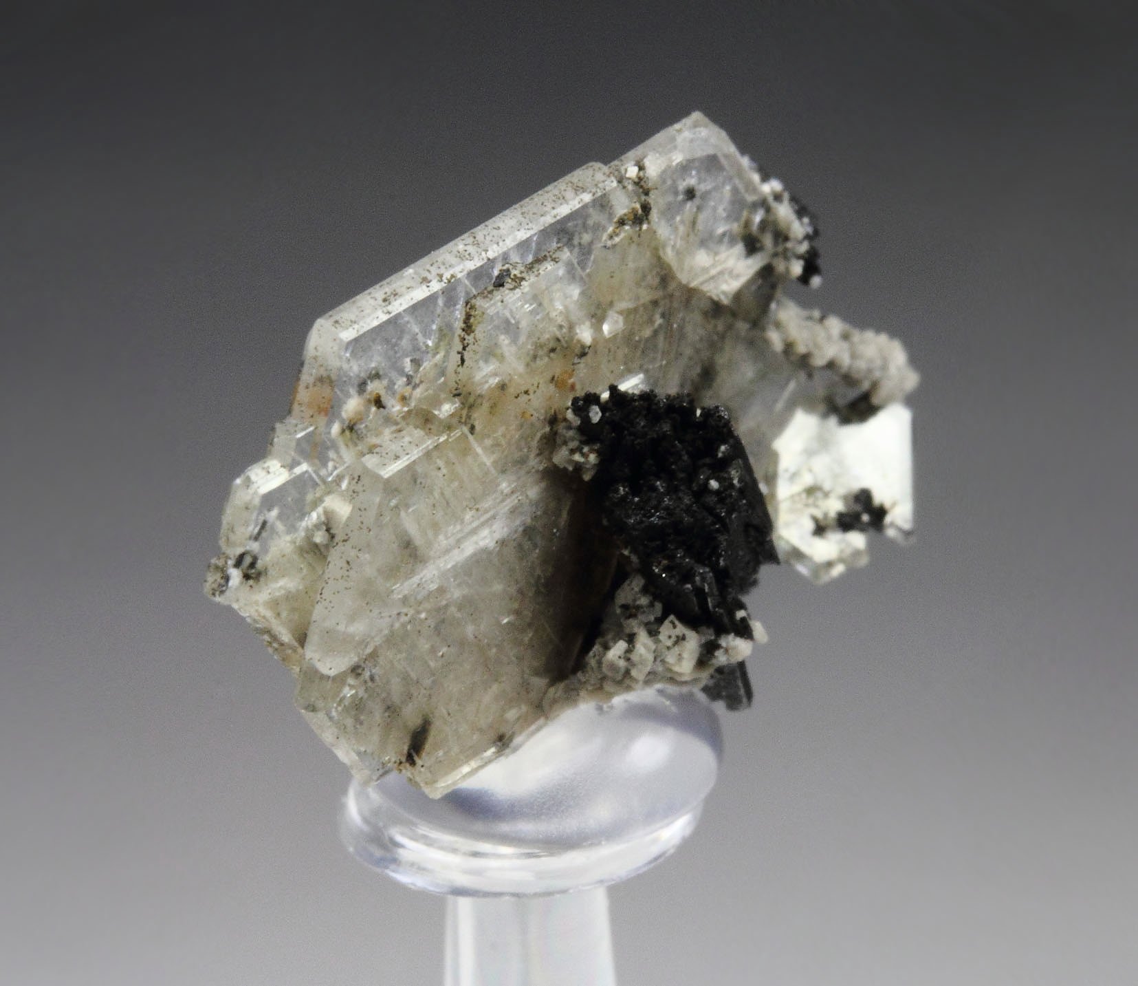 CATAPLEIITE, AEGIRINE